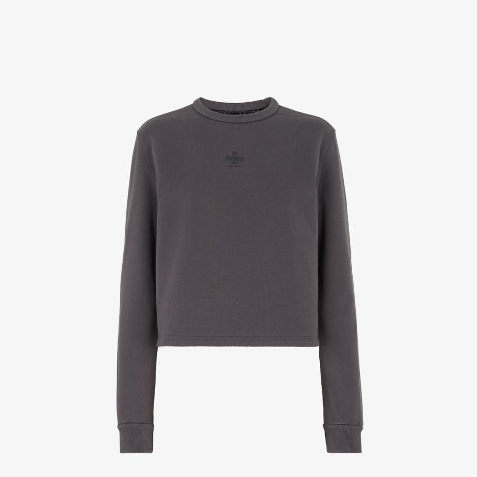o1s1wg111224 Sweatshirt in Grey