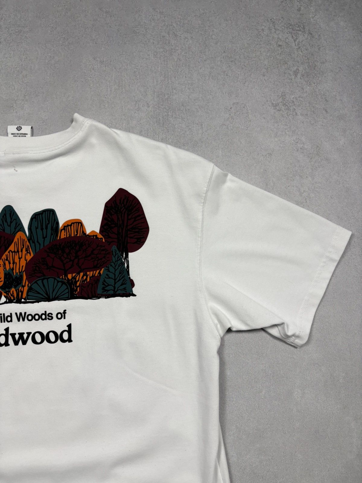 Nike ACG Nike ACG The Wild Woods of Wildwood Graphic White T-Shirt M Size US M / EU 48-50 / 2 - 3 Thumbnail