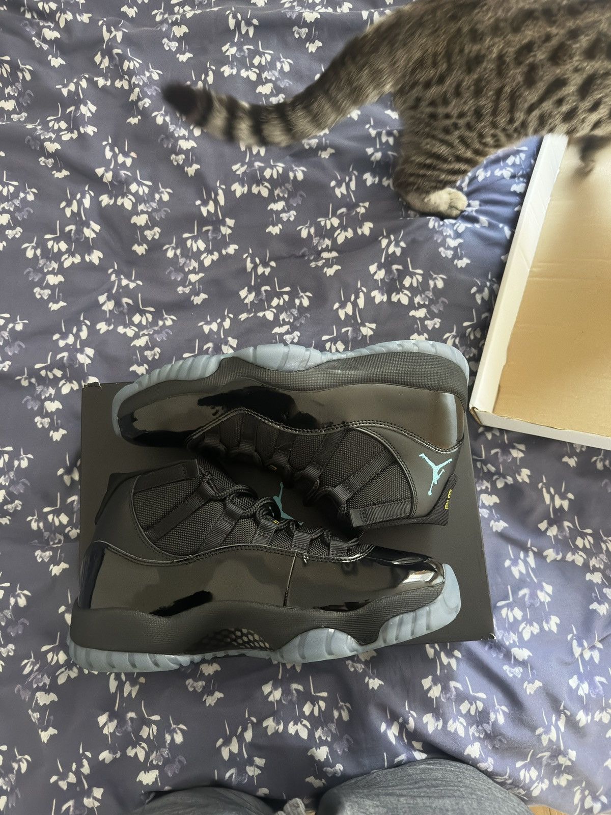 Nike Jordan 11 gamma blue 2025 Size US 9 / EU 42 - 7 Thumbnail