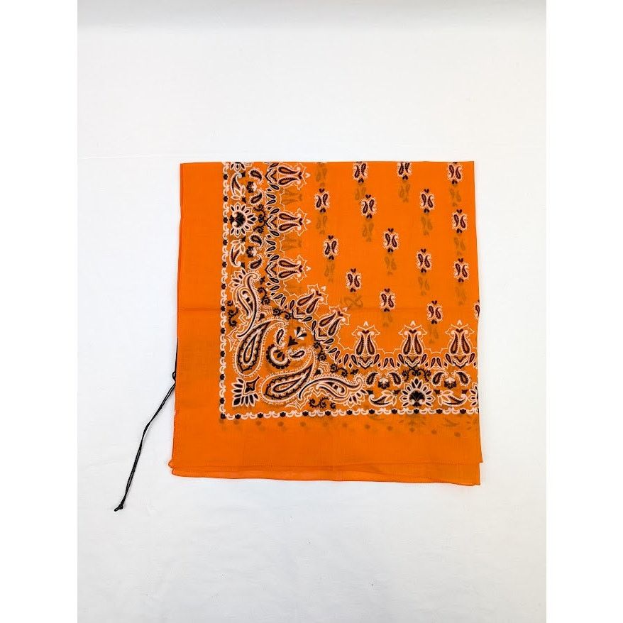 o1rshd1 Size: OS / Bandana Paisley Prid Scarf in Orange