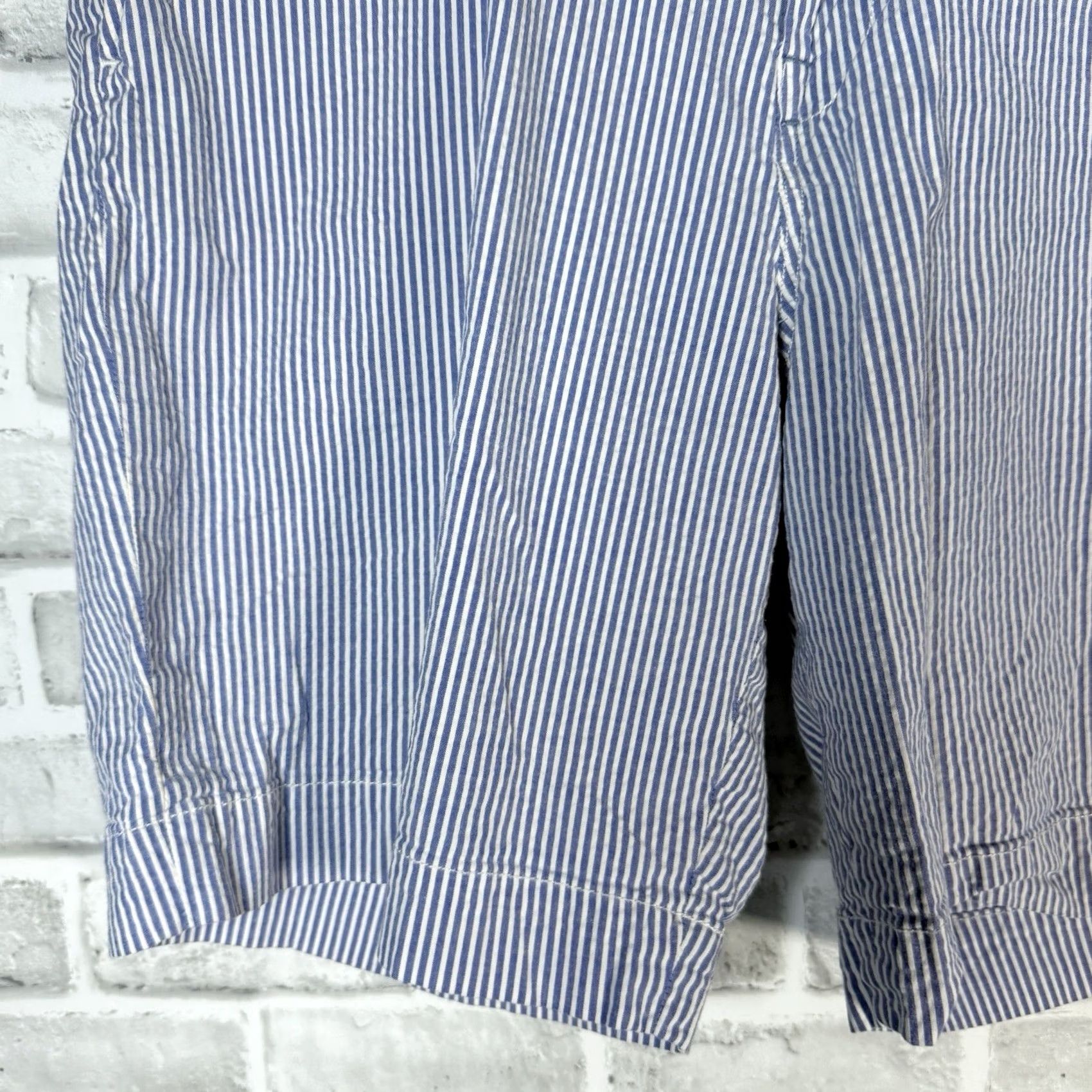 Polo Ralph Lauren Polo Ralph Lauren Shorts Mens Size 35 Blue Striped Stretch Classic Fit Casual Size US S / EU 44-46 / 1 - 3 Thumbnail