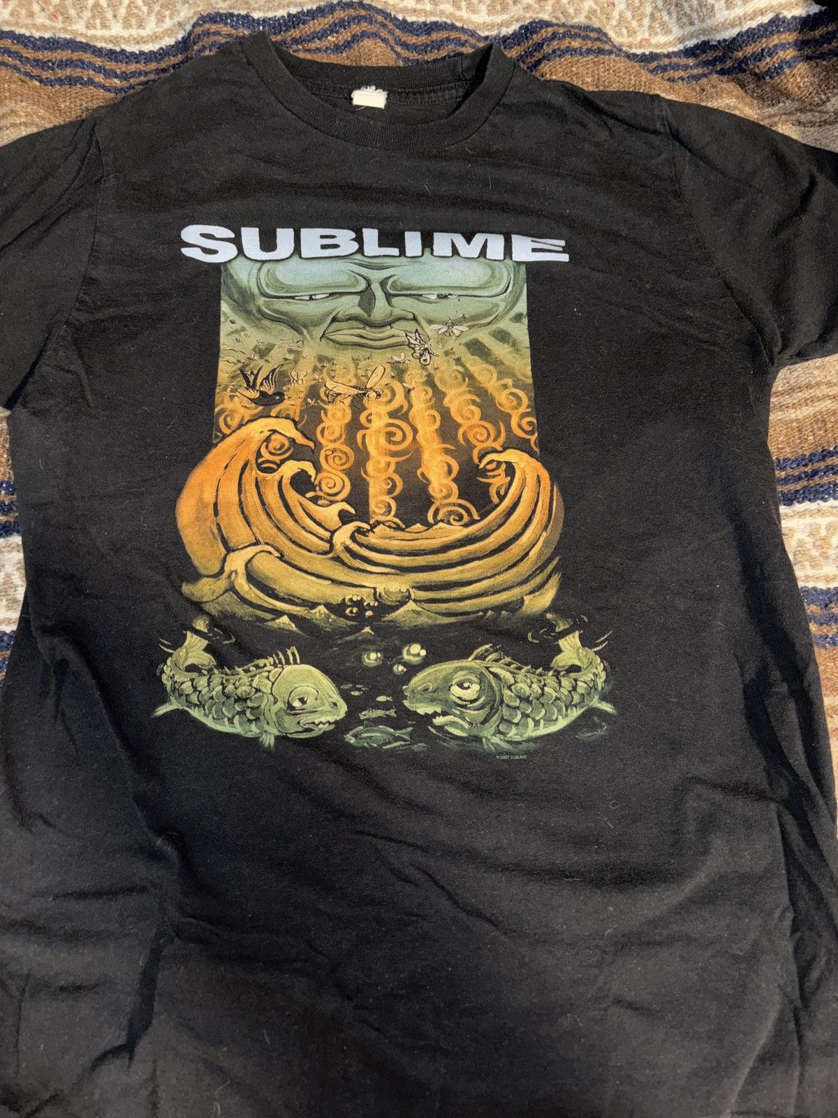 Anvil Sublime everything under the sun 2007 shirt rare Size US M / EU 48-50 / 2 - 4 Thumbnail