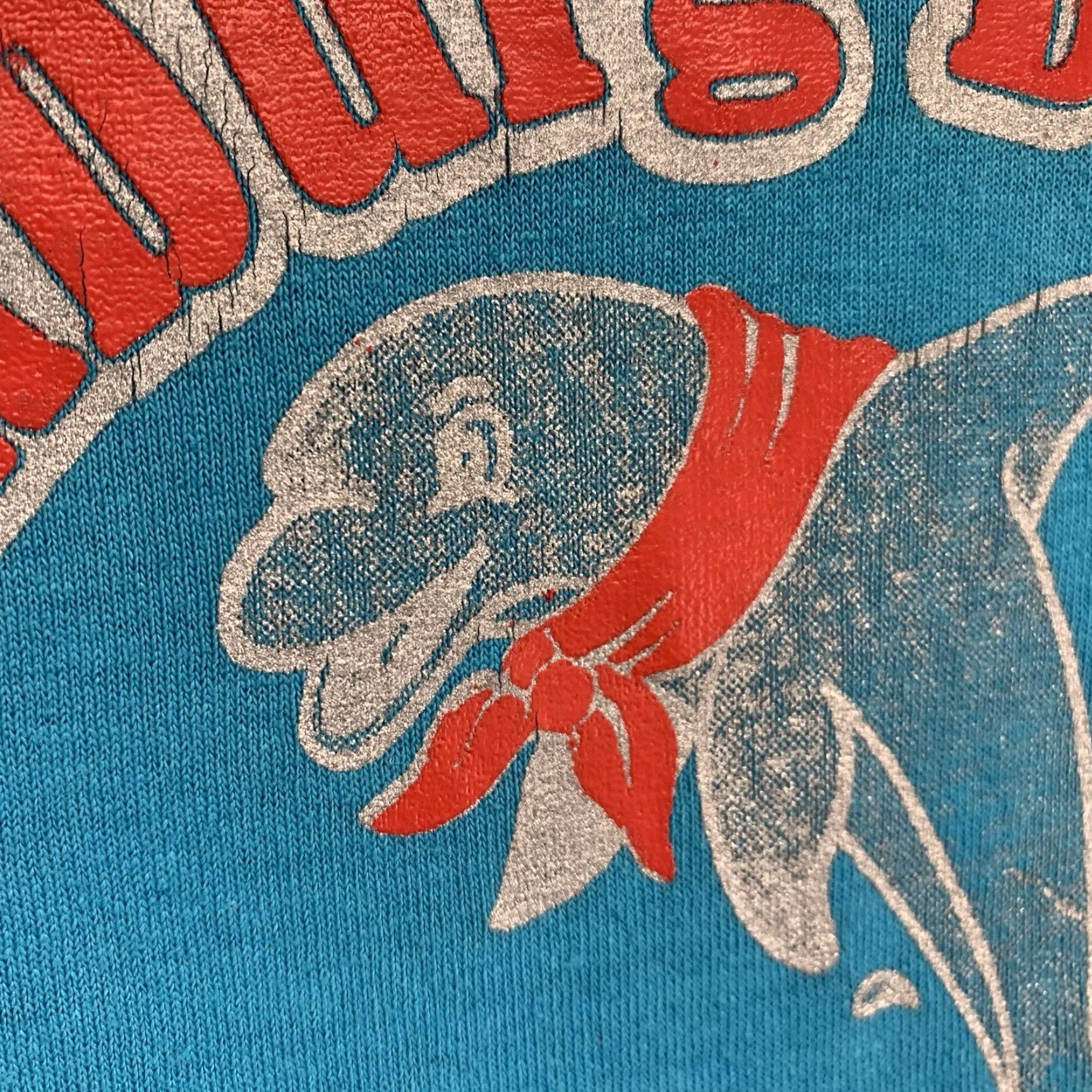 Jerzees VINTAGE JERZEES Blue Graphic T-Shirt Mens Medium Edinburg Dolphins Adventurer Club 90s Retro Animal Lovers Size US M / EU 48-50 / 2 - 6 Thumbnail