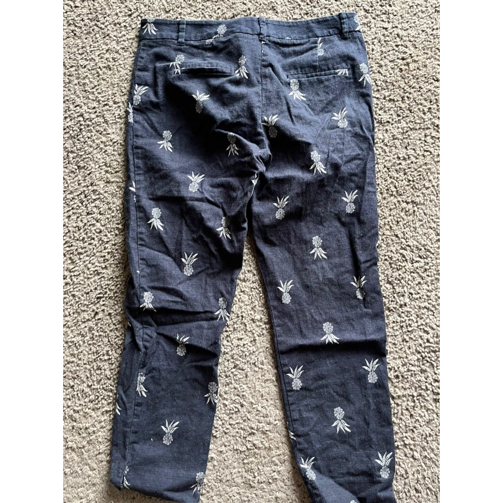 Ann Taylor Ann Taylor Pants Capri Blue Cotton Blend Twill AOP Hippie Designer Casual Travel 2 Womens Size 26" / US 2 / IT 38 - 3 Thumbnail