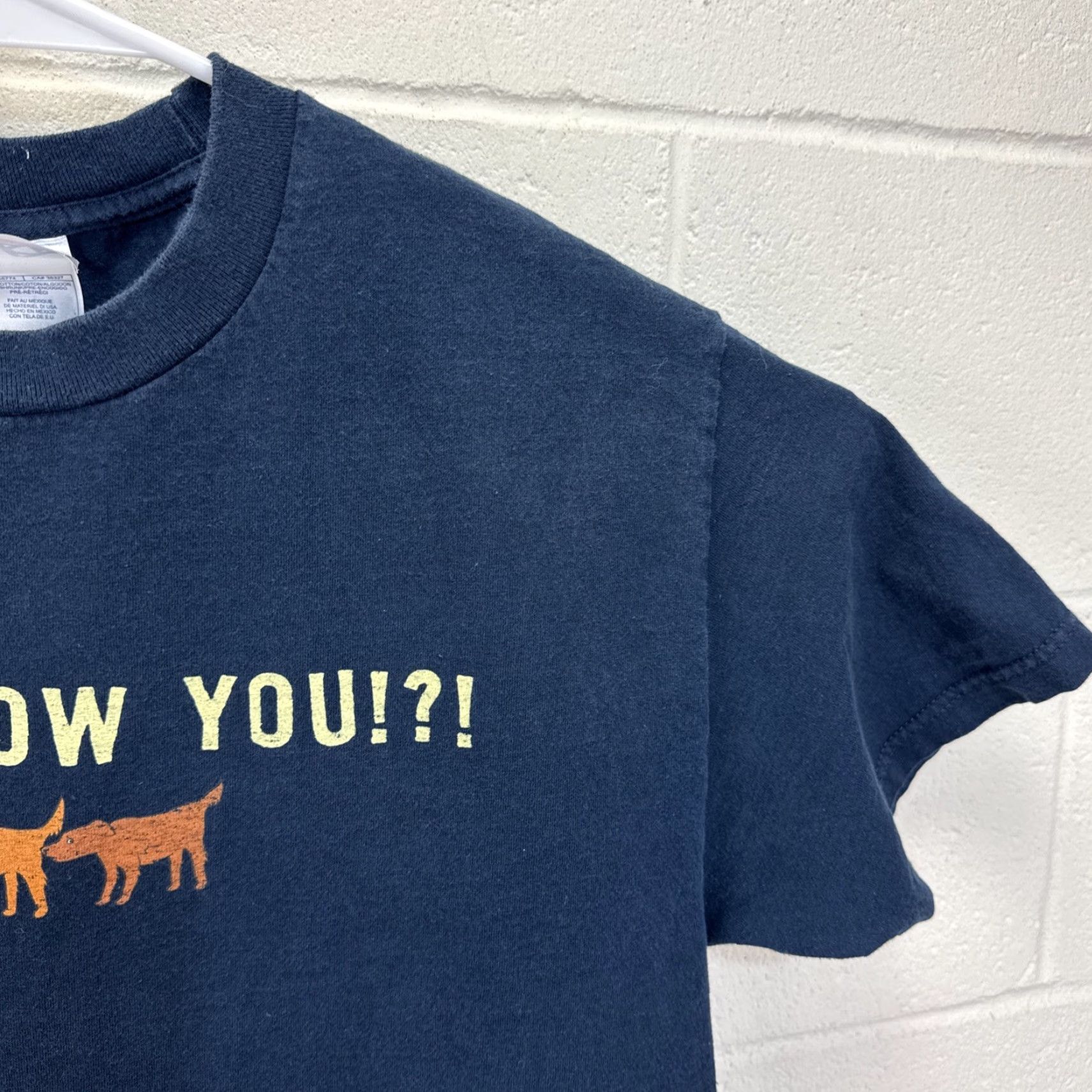 Vintage VINTAGE Alstyle Apparel & Activewear Dog T-Shirt Shirt Men L Blue Graphic Print Short Sleeve Crew Neck Funny Dog Theme 90s Size US L / EU 52-54 / 3 - 5 Thumbnail
