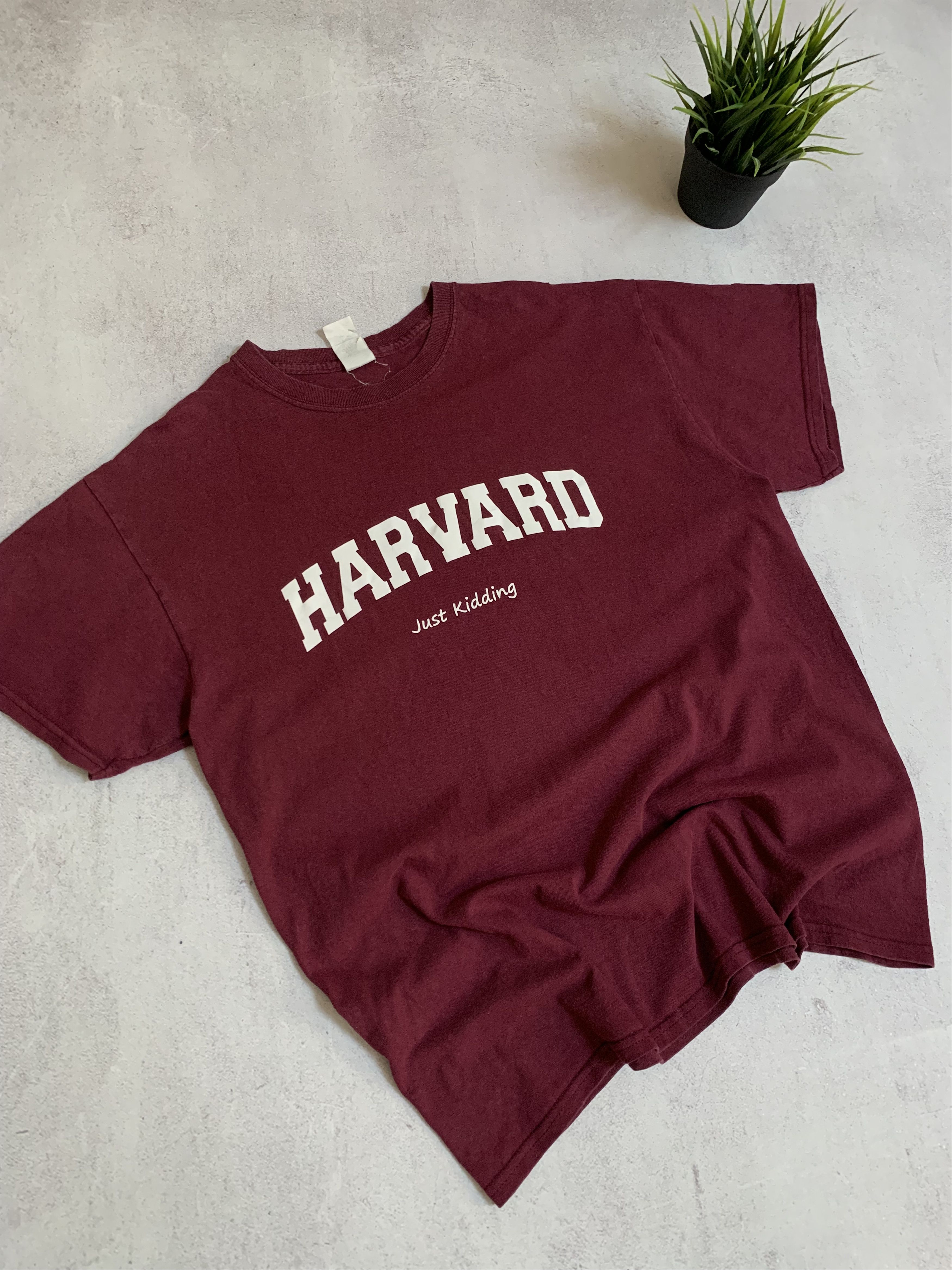 Vintage Vintage Harvard T Shirt Tee Baggy Big Logo Y2K 90s Size US L / EU 52-54 / 3 - 5 Thumbnail