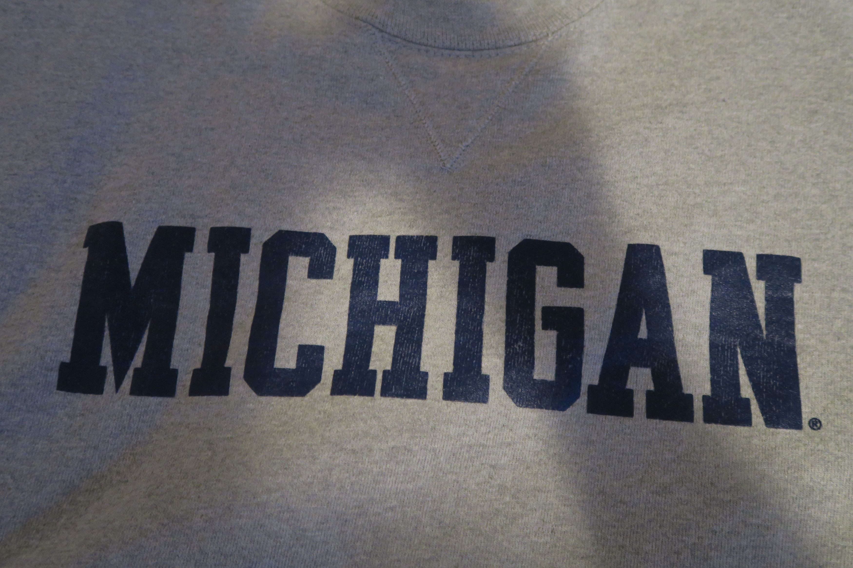 Champion Champion Michigan Wolverines University Sweatshirt Boxy Size US M / EU 48-50 / 2 - 2 Thumbnail