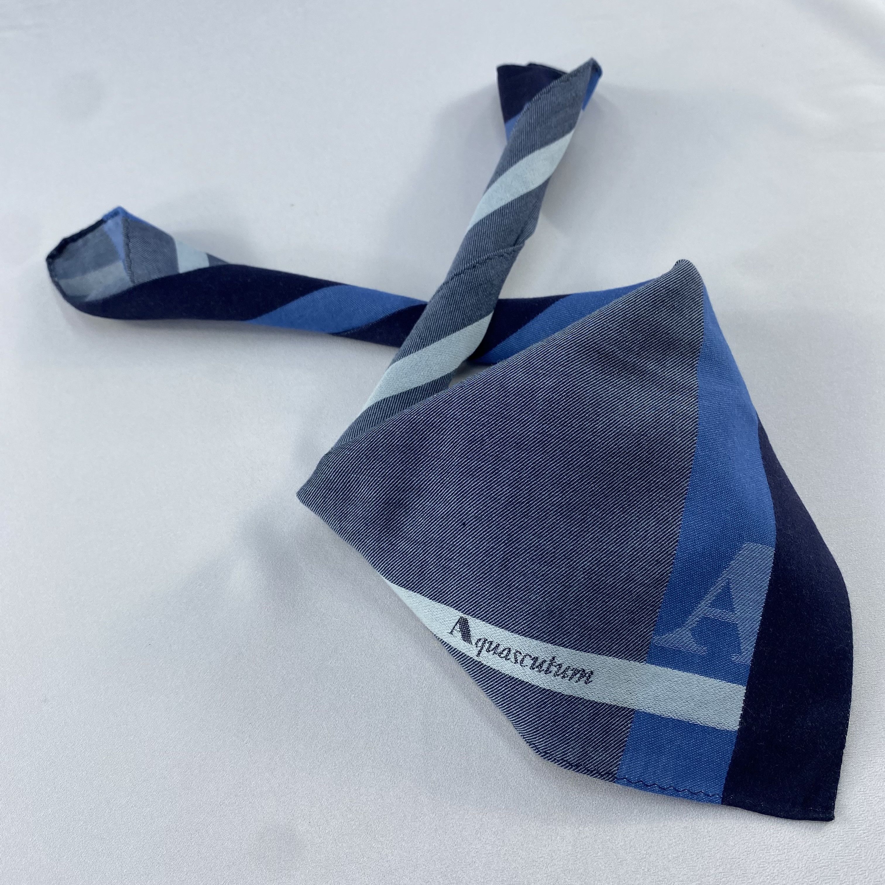 Aquascutum Aquasqutum Handkerchief / Bandana / Neckerchief C876 Size ONE SIZE - 1 Thumbnail