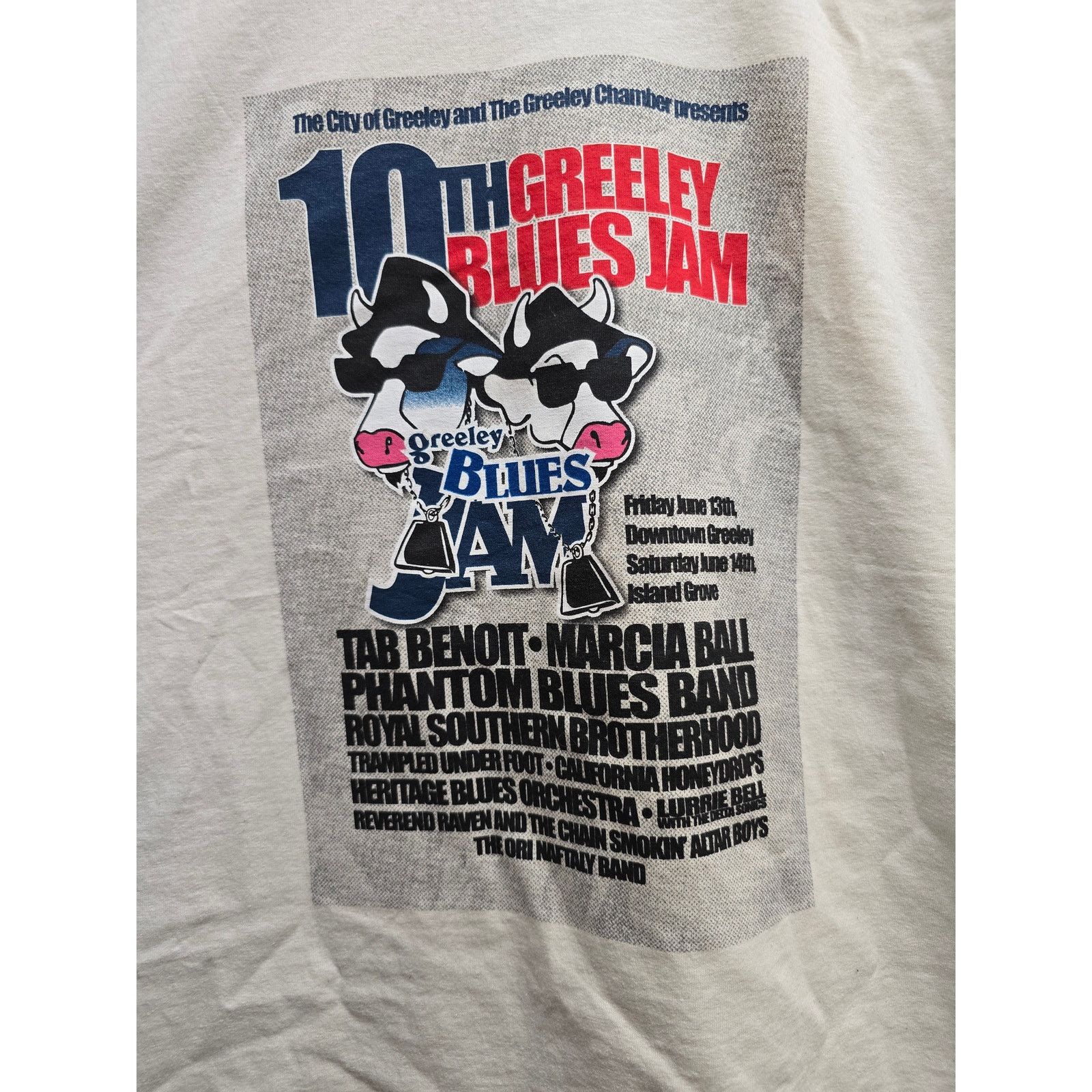 Gildan Blues Shirt Greeley Jam XL Festival Tee Phantom Blues Band Size US XL / EU 56 / 4 - 2 Thumbnail