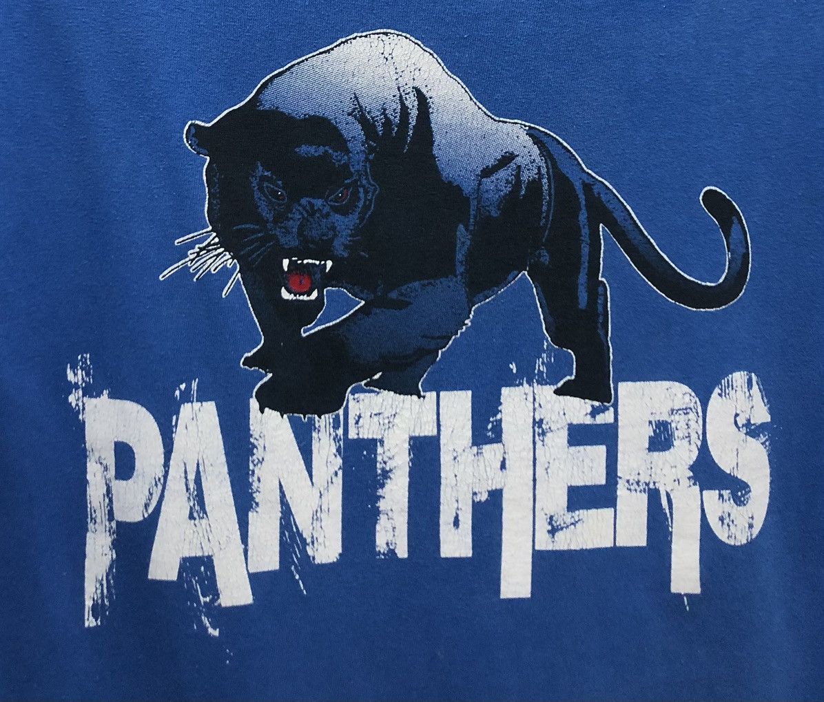 NFL Vintage NFL Carolina Panthers T-Shirt Size US M / EU 48-50 / 2 - 3 Thumbnail