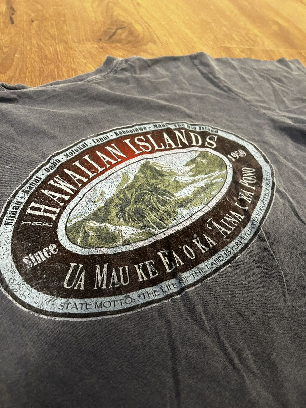 Other Hawaiian Islands Blue Shirt Size US S / EU 44-46 / 1 - 1 Thumbnail