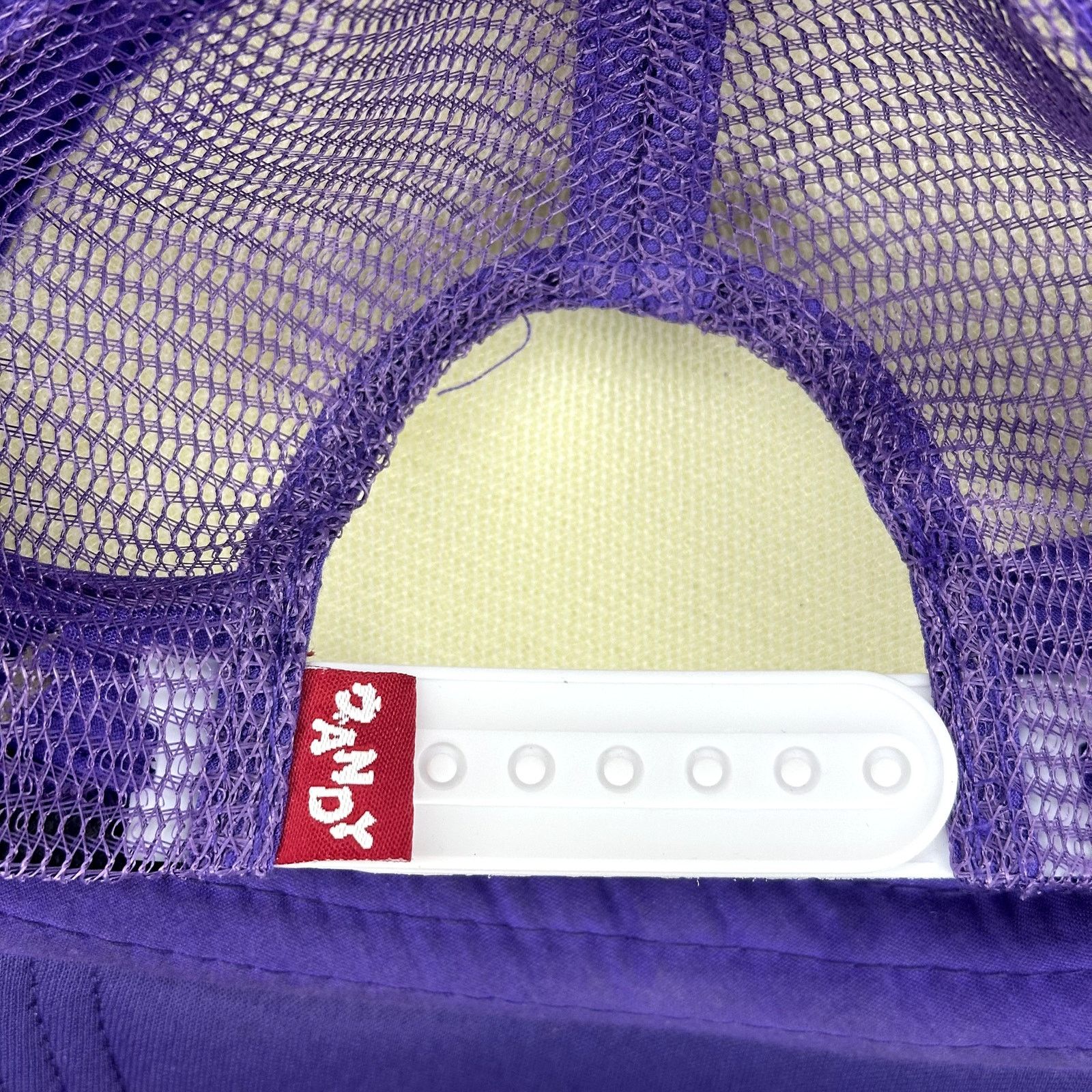 Vandy The Pink Vandy The Pink Trucker Hat 'Purple' Size ONE SIZE - 4 Thumbnail