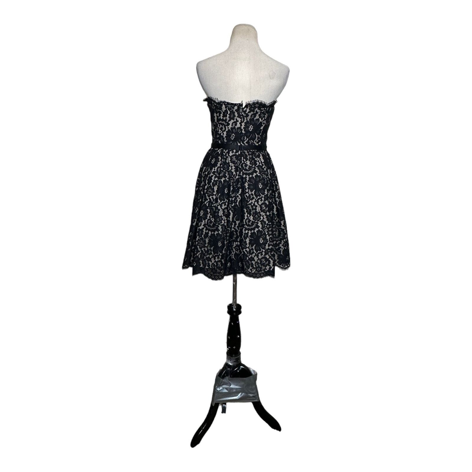 Robert Rodriguez Robert Rodriguez Lace Strapless Party Cocktail Dress Size 6 Size M / US 6-8 / IT 42-44 - 12 Thumbnail