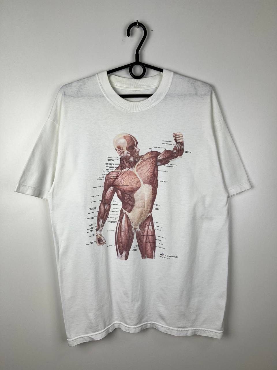 Vintage Anatomy 1997 humor vintage t-shirts size XL Size US XL / EU 56 / 4 - 1 Thumbnail