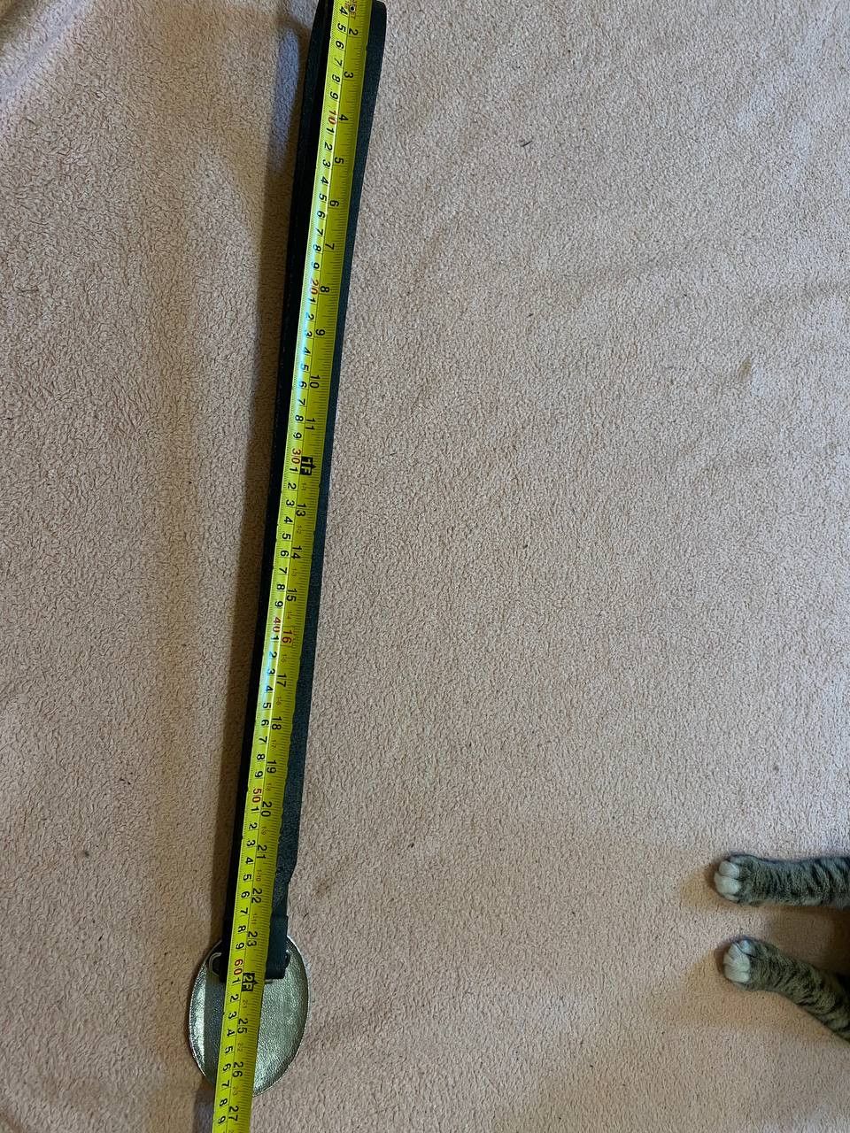 Dolce & Gabbana Belt luxur D&G Vintage Streetwear logo Dolce & Gabbana Y2K Size ONE SIZE - 12 Thumbnail