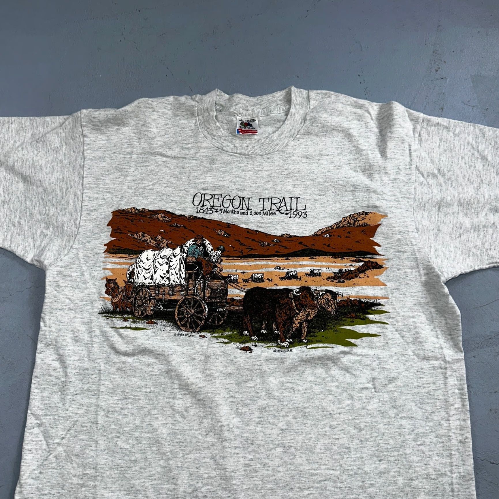 Fruit Of The Loom VINTAGE Oregon Trail 90s T Shirt Gray L Fruit of the Loom Mens Short Sleeve Crew Neck USA Sunset Rare Size US L / EU 52-54 / 3 - 4 Thumbnail
