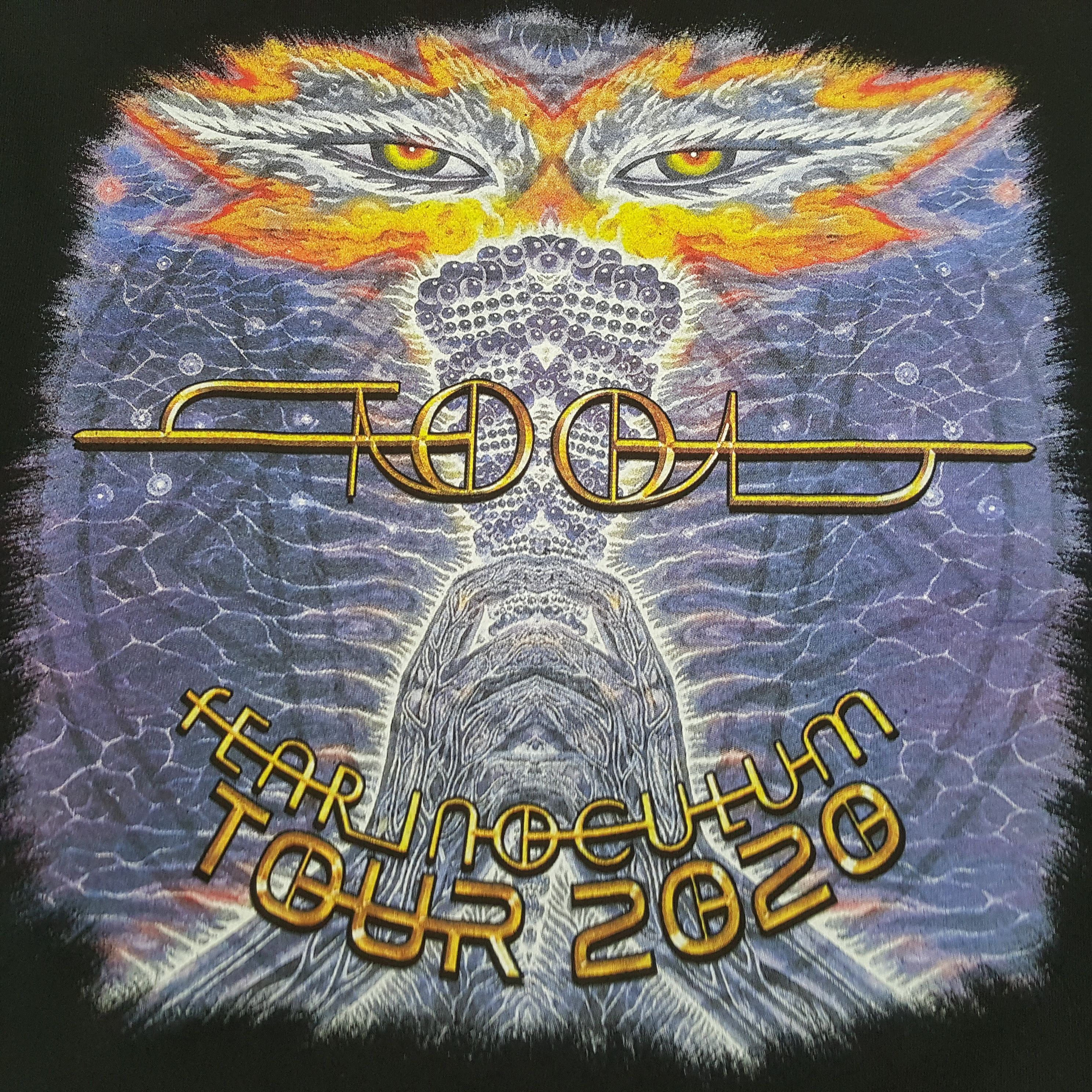 Delta Tool Fear Inoculum Rock Band Tour 2020 Tshirt C299N62 Size US L / EU 52-54 / 3 - 8 Thumbnail