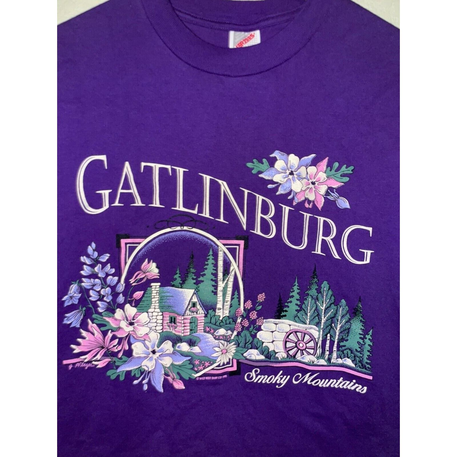 Jerzees 90s Vintage Jerzees Gatlinburg Smoky Mountains Shirt VTG L Size US L / EU 52-54 / 3 - 2 Thumbnail