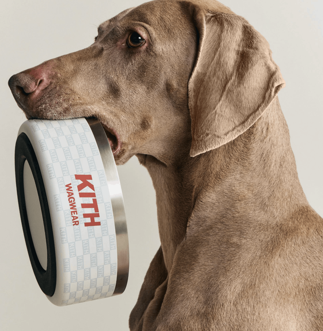 Kith Kith for wagwear Metal Dog Bowl - White Size ONE SIZE - 5 Thumbnail