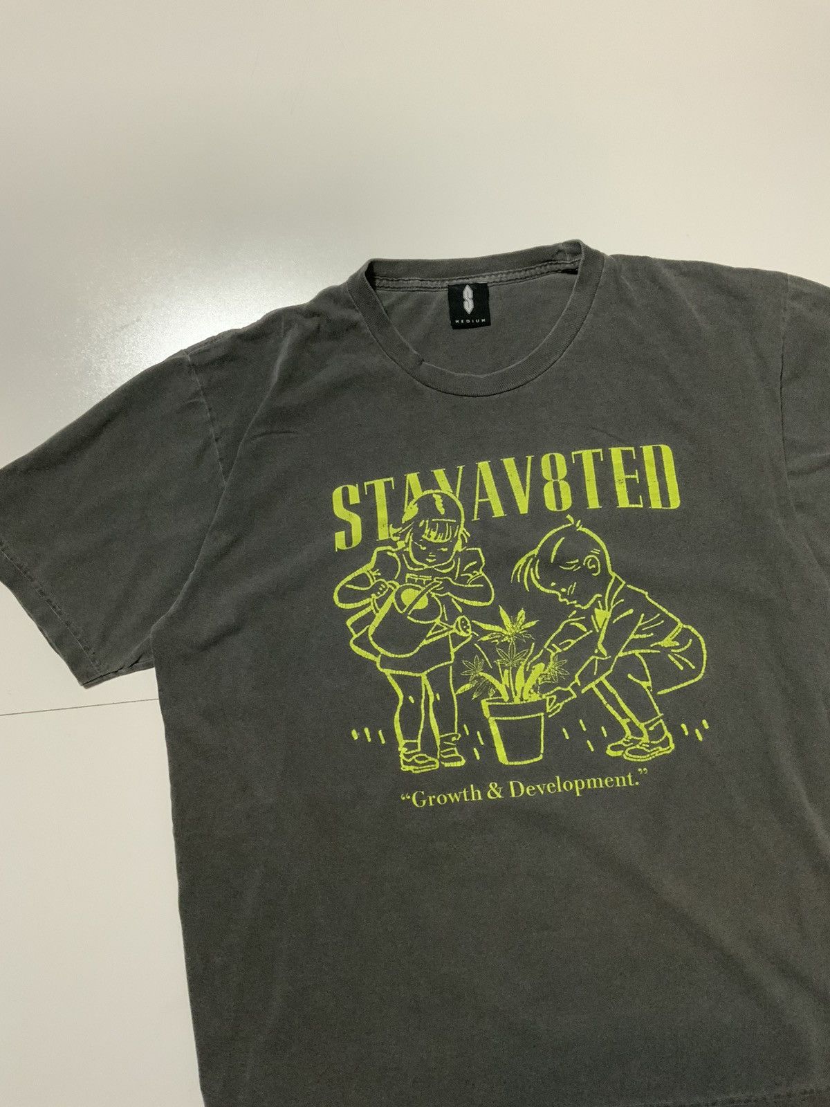 Other StayAv8Ted Growth & Development Marijuana Plant T-Shirt Size US M / EU 48-50 / 2 - 4 Thumbnail