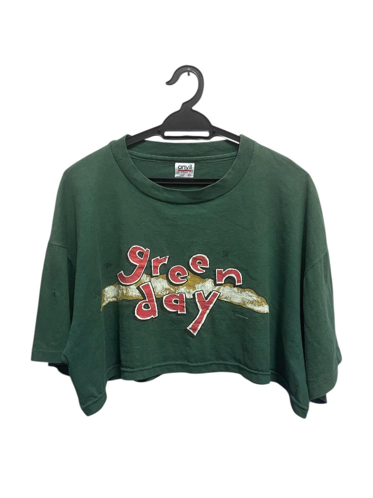 Band Tees Vintage 1995 Green Day Dookie Crop Tshirt Size US L / EU 52-54 / 3 - 1 Thumbnail