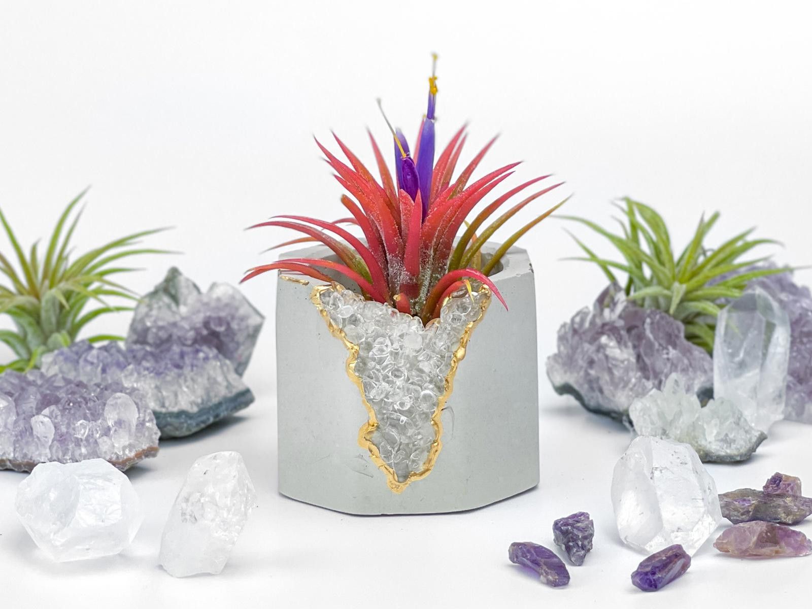 Other Clear Quartz Crystal Planter Small Succulent Pot tillandsia Size ONE SIZE - 5 Thumbnail