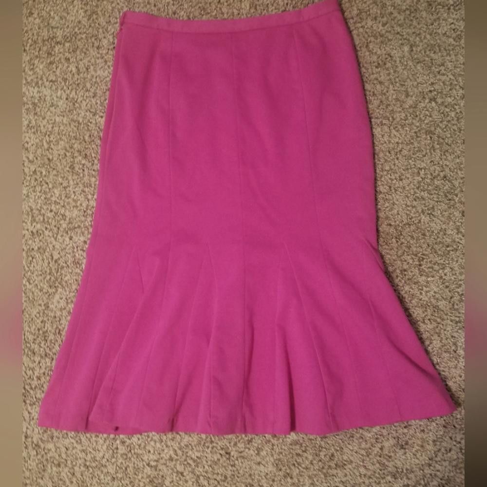 Siegelman Stable Spiegel Skirt Size 10 Size 32" / US 10 / IT 46 - 2 Thumbnail