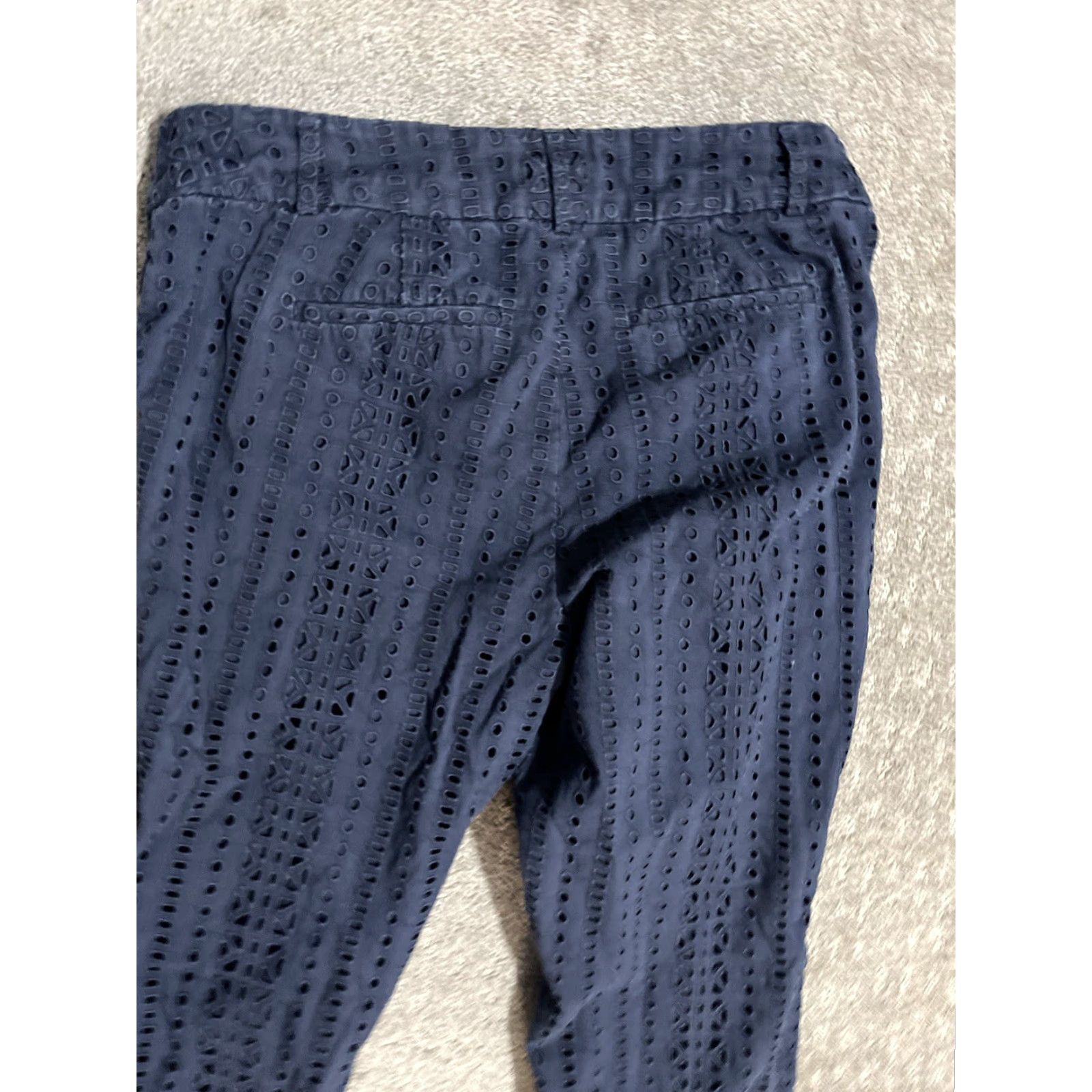 Loft LOFT Riviera Navy Blue Slim Cropped Pants 4 Petite 4P Lined Women’s Shorts & Pants Pants Size 27" / US 4 / IT 40 - 4 Thumbnail