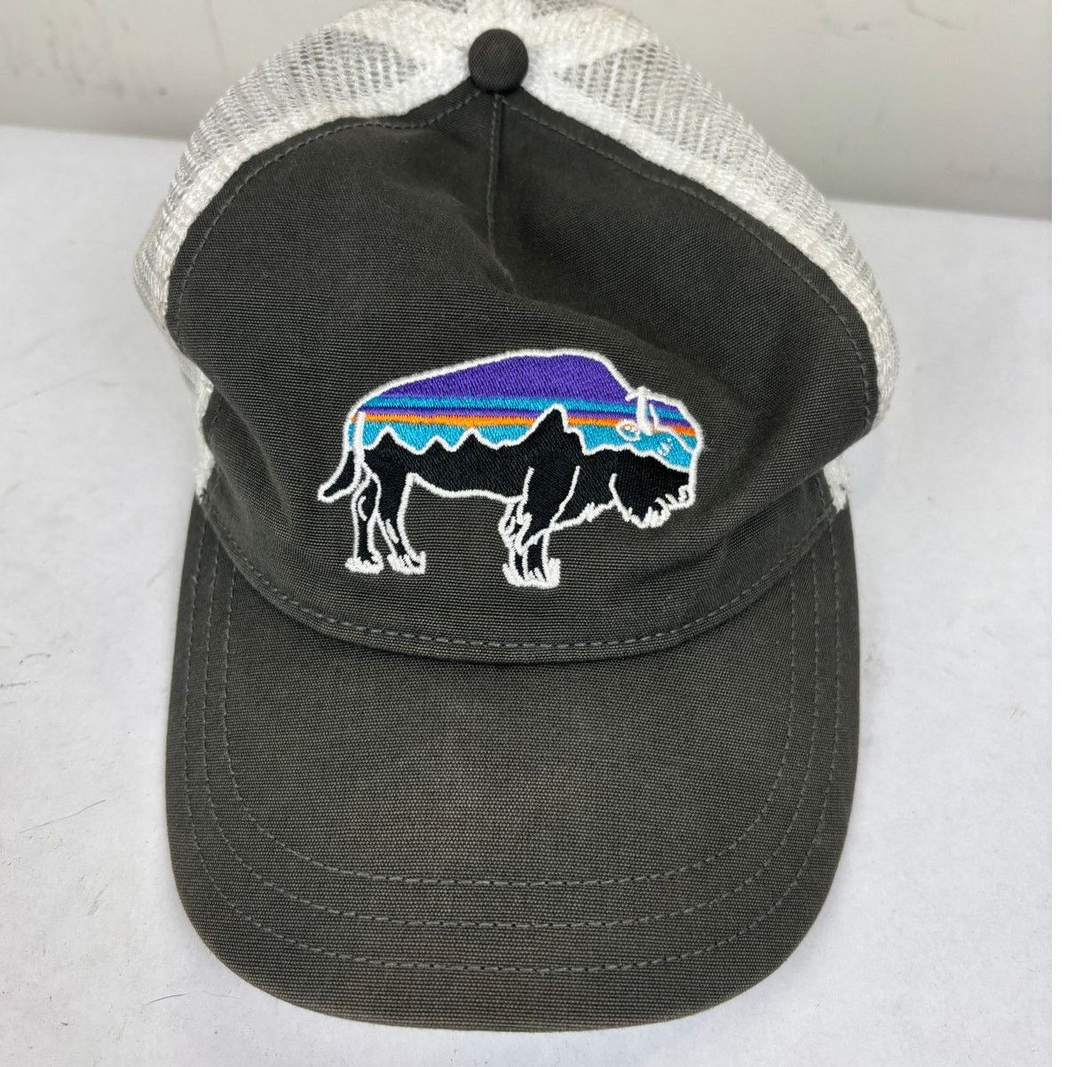Patagonia Patagonia Fitz Roy Bison Mesh Trucker Hat Snapback Size ONE SIZE - 7 Thumbnail