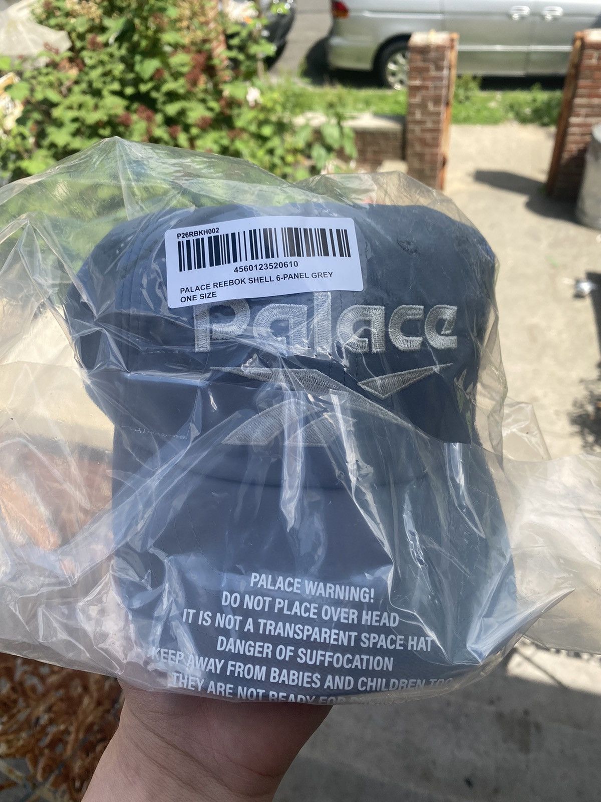 Palace × Reebok Palace x Reebok Shell 6 Panel | Grailed