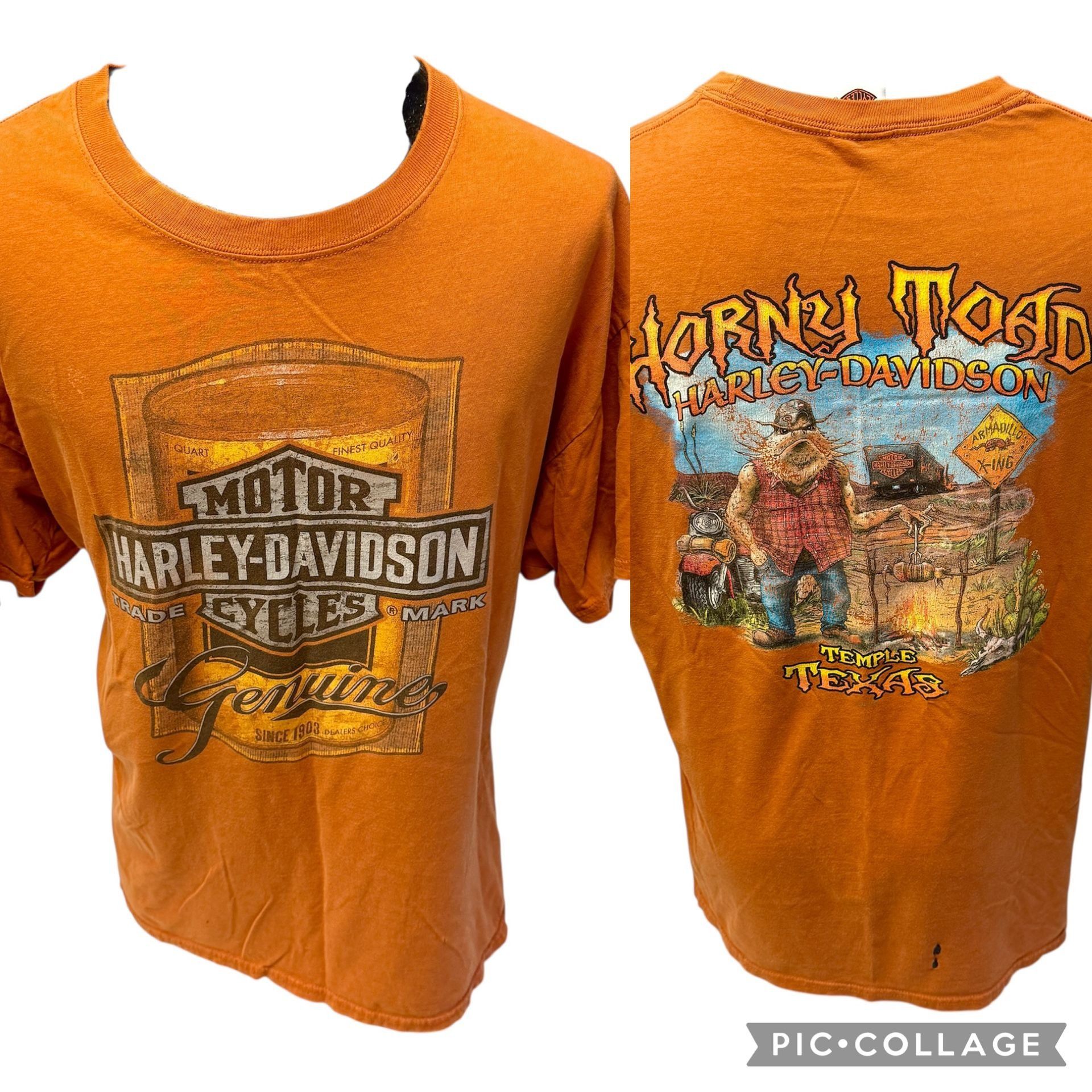 Harley Davidson HORNY TOAD Temple TEXAS 2011 Motorcycle ROASTED ARMADILLO T Size US XL / EU 56 / 4 - 2 Thumbnail