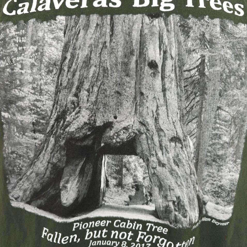 Vintage Calaveras Big Trees T Shirt Mens Size Medium Green State Park Pioneer Cabin Tree | Nature Tee Outdoors Travel Souvenir 2010-2019 Mens Size US M / EU 48-50 / 2 - 3 Thumbnail