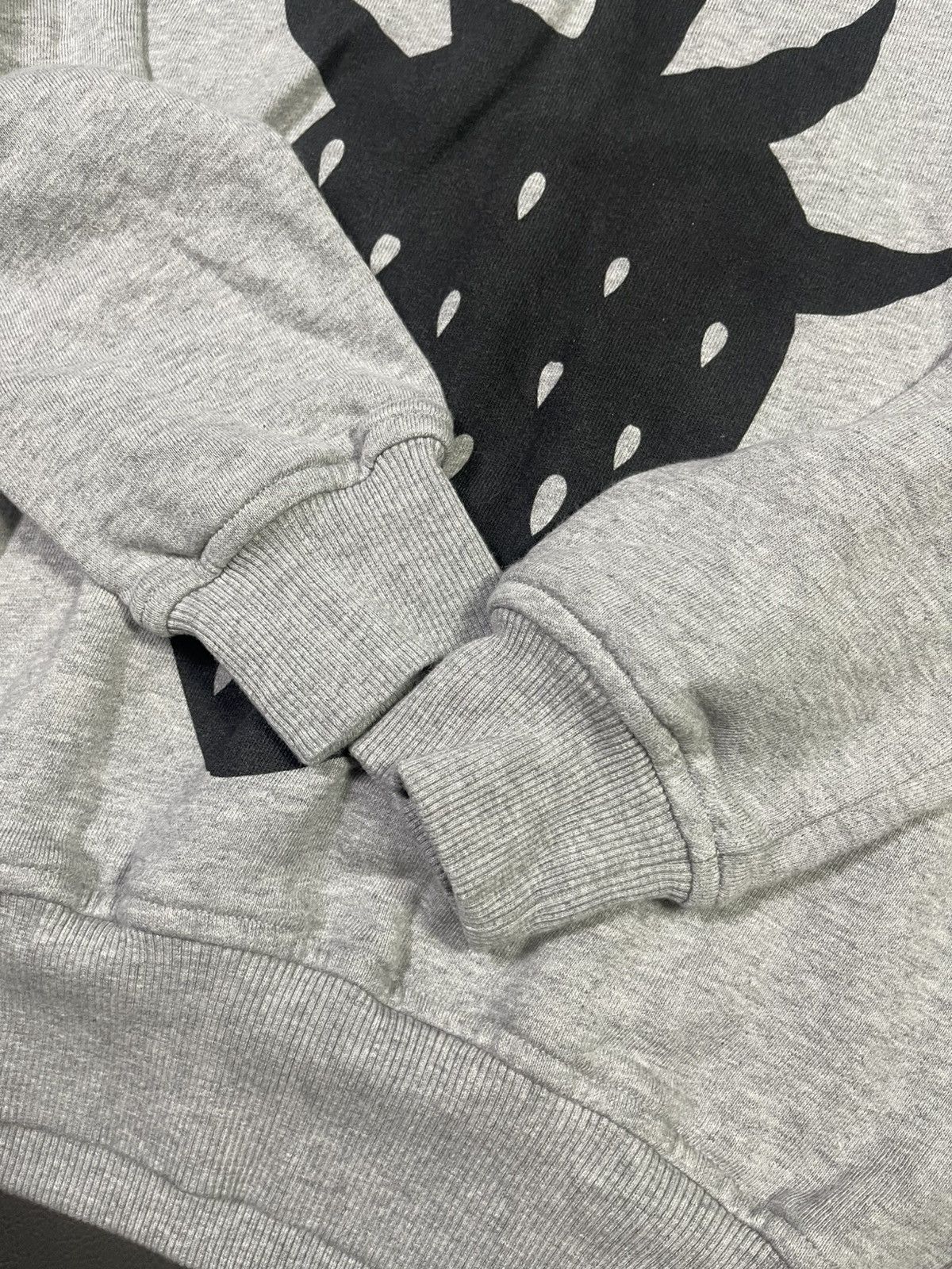 Comme des Garcons CDG x Brett Westfall Strawberry Hooded Size US M / EU 48-50 / 2 - 6 Thumbnail