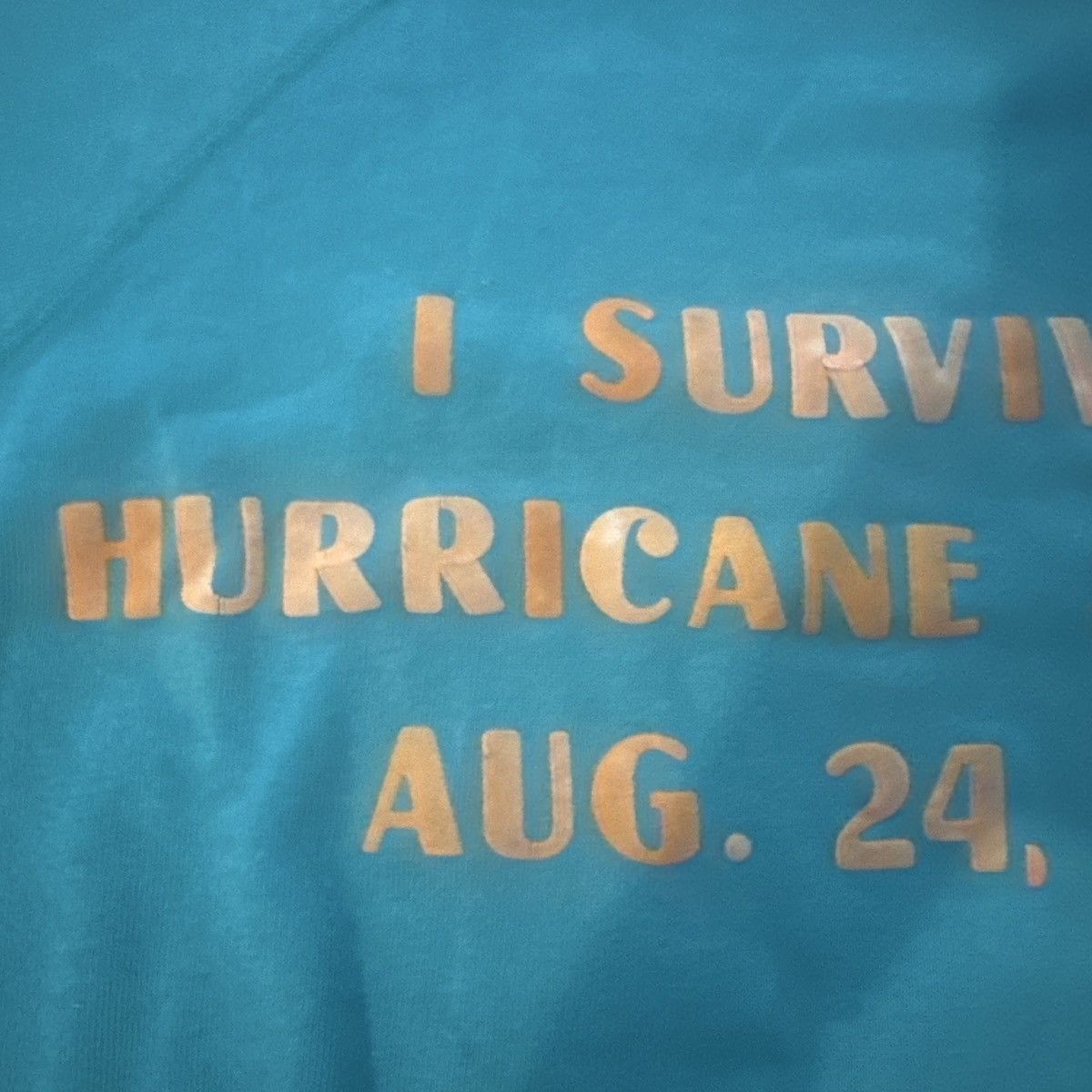 Vintage Vintage I Survived Hurricane Andrew 1992 Size US M / EU 48-50 / 2 - 3 Thumbnail
