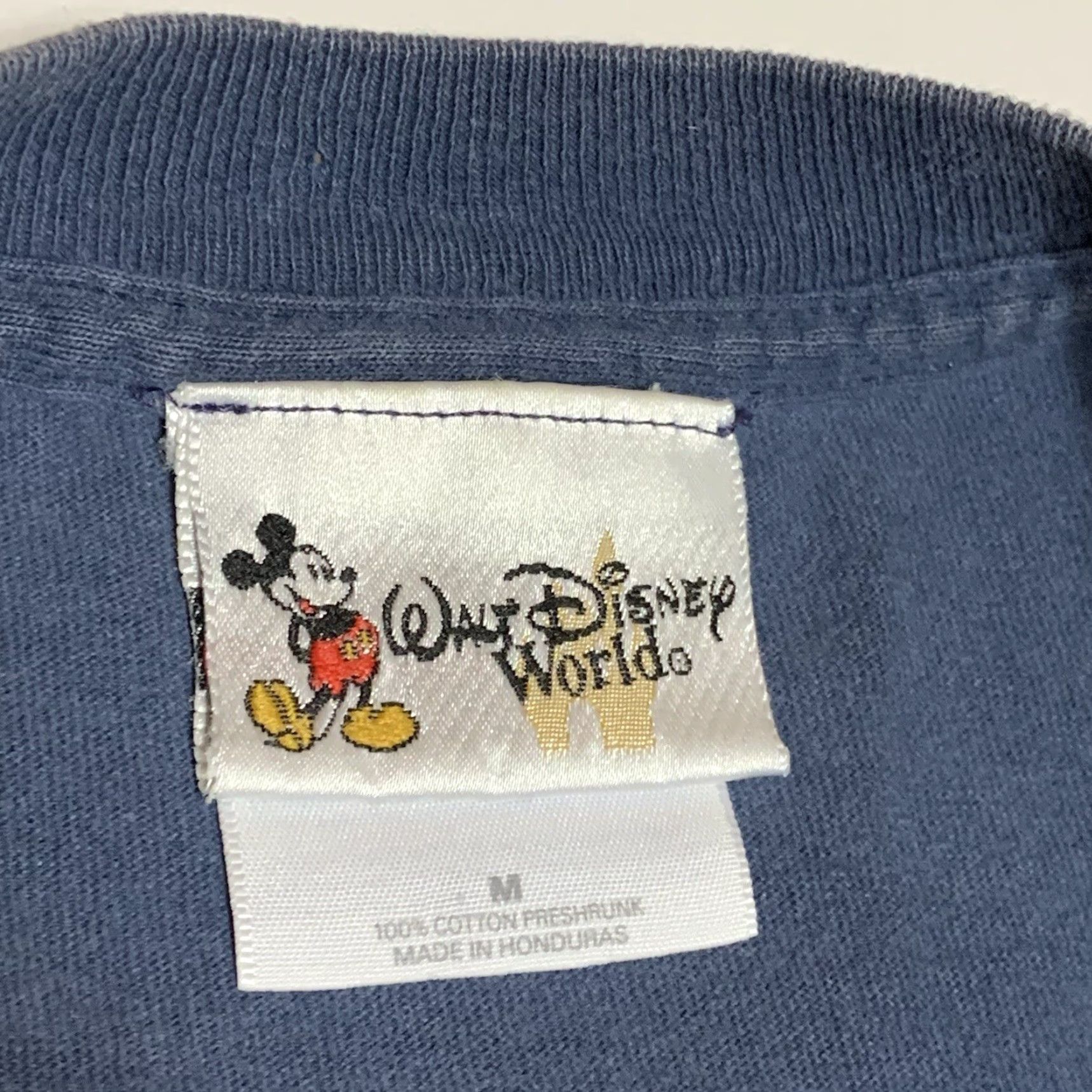 Disney Disney Disney Animal Kingdom Lodge Shirt M Blue Short Sleeve Crew Neck 100% Cotton Graphic Tee Logo Vintage No Size US M / EU 48-50 / 2 - 7 Thumbnail