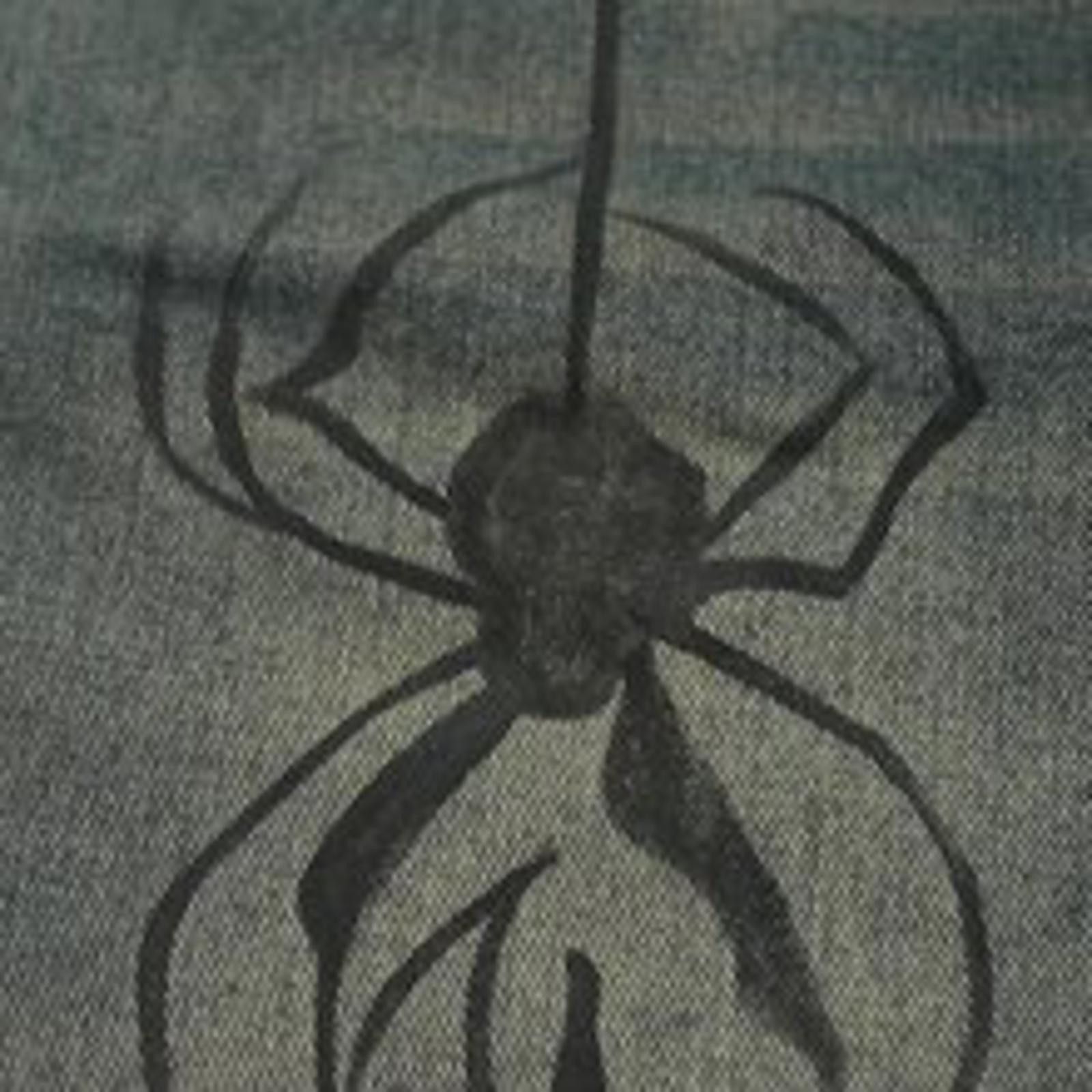 Jean × Vintage Spider Graphic Denim Shorts Size US 32 / EU 48 - 4 Thumbnail
