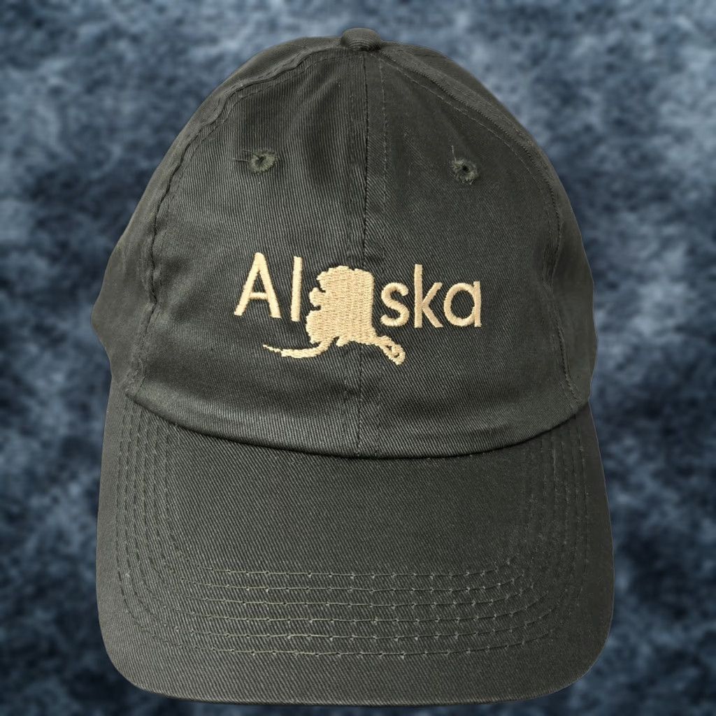 Vintage Arctic Circle Enterprises Alaska Snapback Green Adjustable Embroidered Size ONE SIZE - 1 Thumbnail