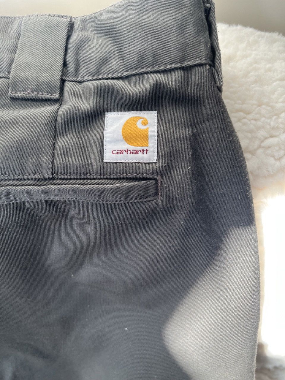 Carhartt Carhartt Master Pant Size US 29 - 4 Thumbnail