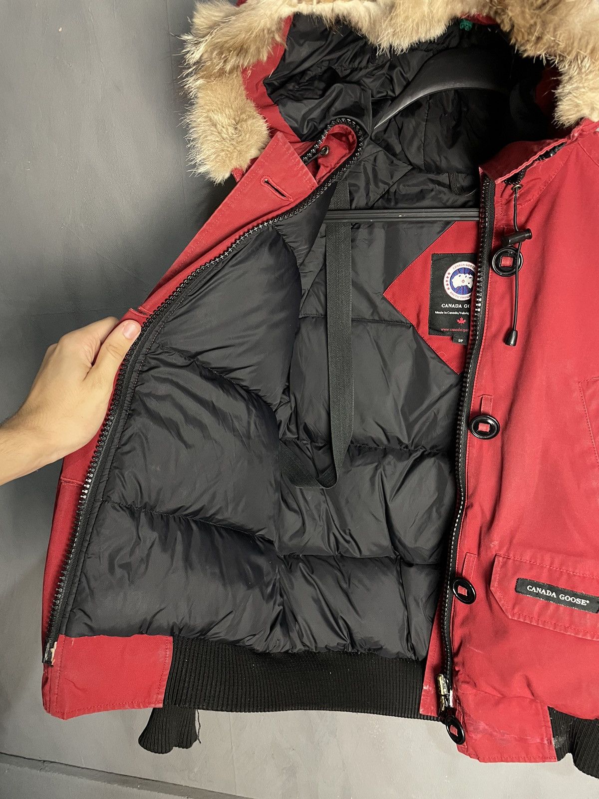 Canada Goose Canada Goose Chilliwack Bomber Fur Jacket Size US S / EU 44-46 / 1 - 9 Thumbnail