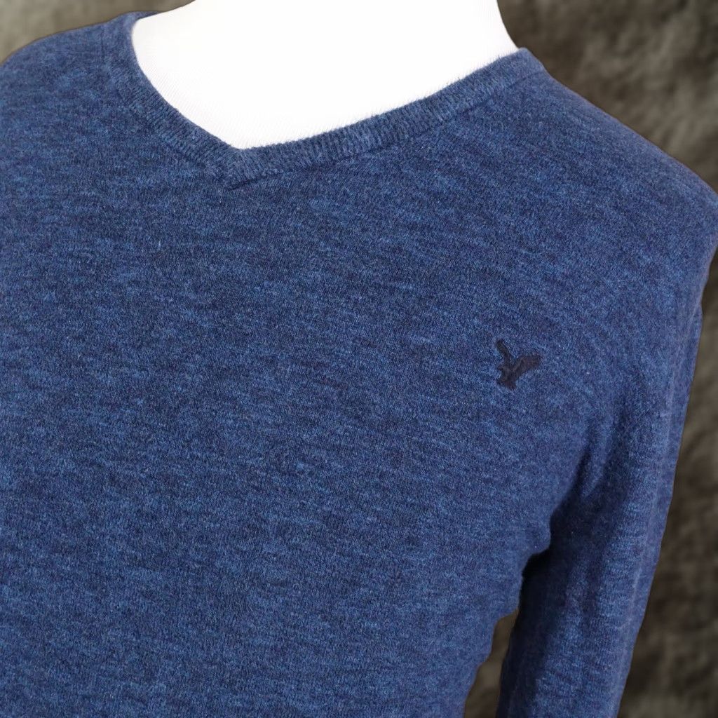American Eagle Outfitters American Eagle Outfitters Sweater Mens 2XL Blue V Neck Cotton Pullover Knit Size US XXL / EU 58 / 5 - 1 Thumbnail
