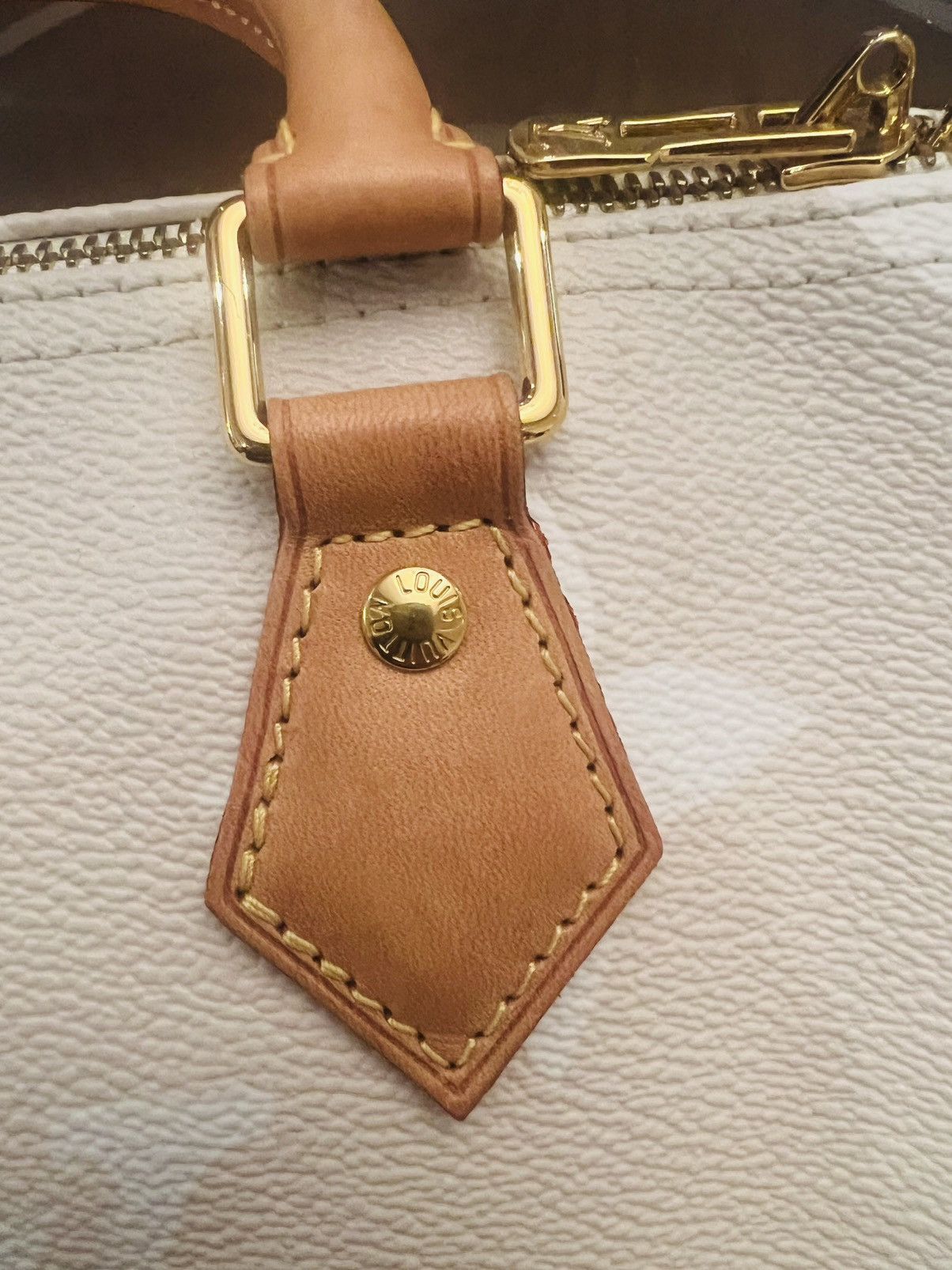 Louis Vuitton Louis Vuitton Speedy 25 Bandouliere Summer Giant Size ONE SIZE - 24 Thumbnail