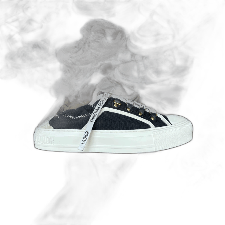 Dior Logo Canvas Sneakers Size 36