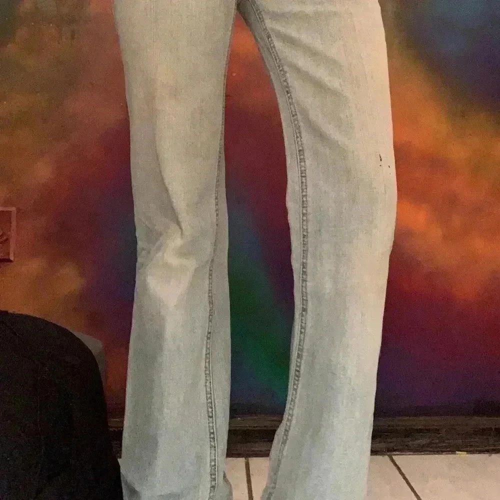 Bullhead Denim Co. Bullhead wide leg jeans Size 30" / US 8 / IT 44 - 2 Thumbnail