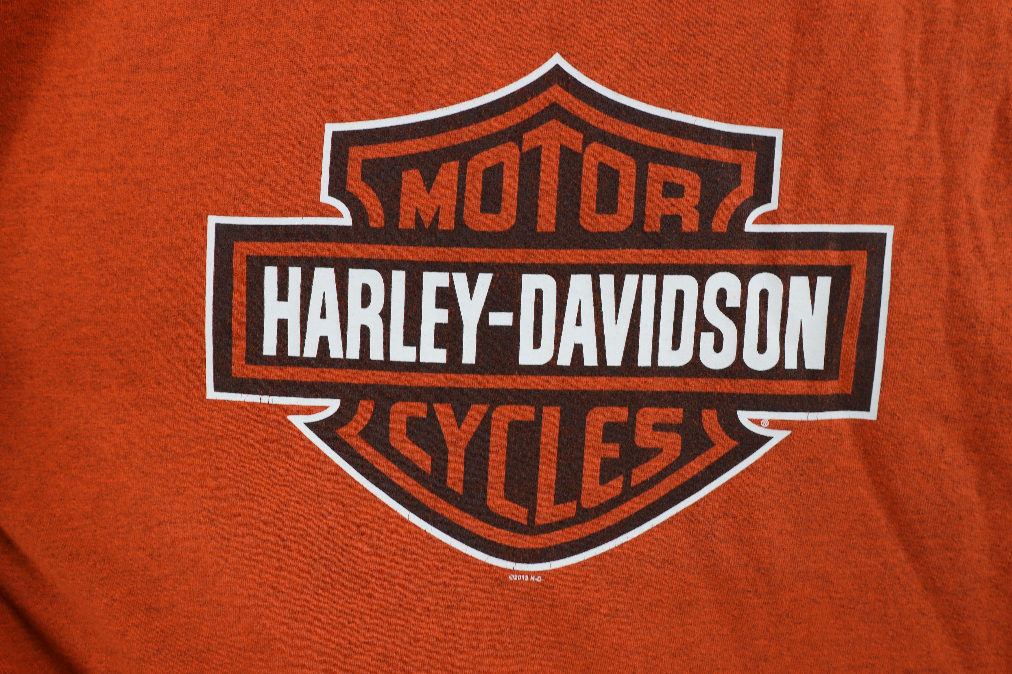 Harley Davidson Vintage Y2K Harley Davidson Spell Big Logo T-Shirt Orange Size US XL / EU 56 / 4 - 4 Thumbnail