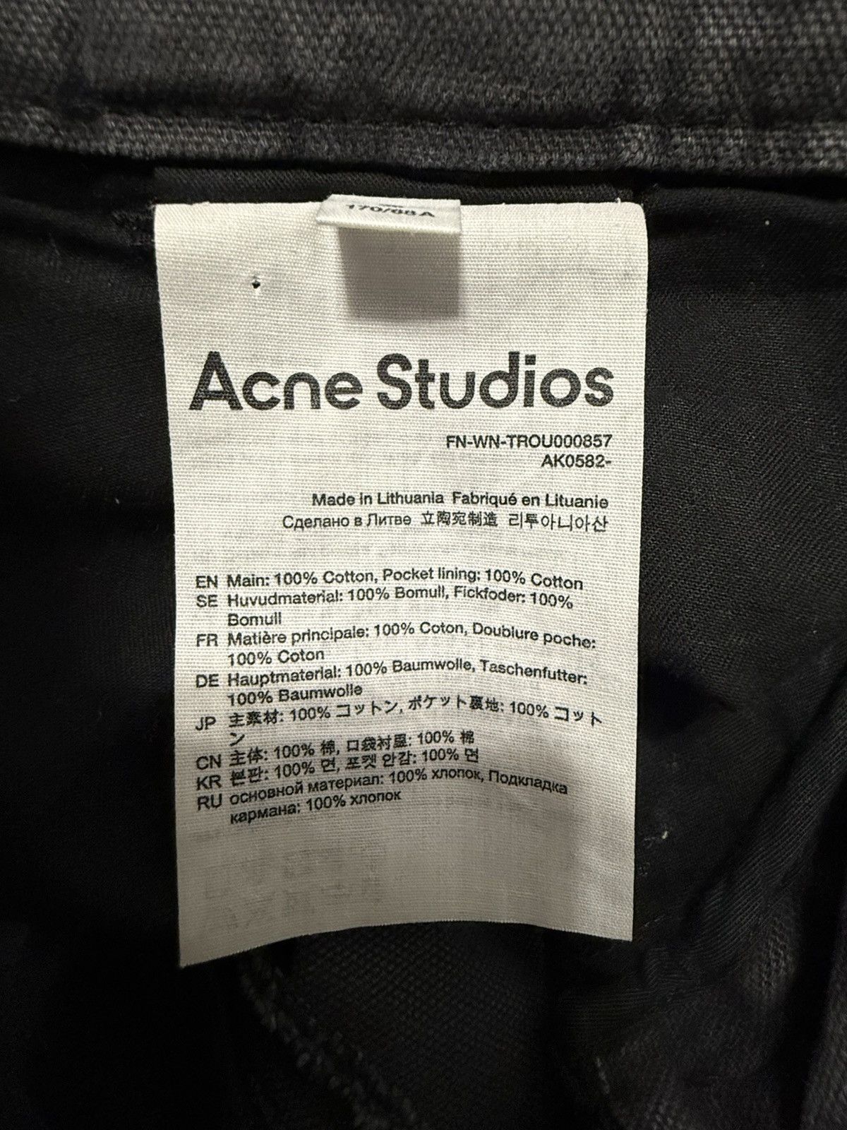 Acne Studios Acne Studios Bondage Cargo Pants Size 26" / US 2 / IT 38 - 7 Thumbnail