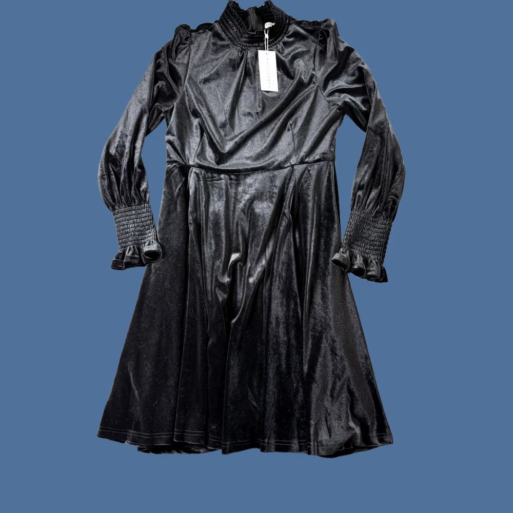 Born Baltic Born Dress Womens S Black NWT Velvet Whimsy Goth Dark Academia Fairy Size S / US 4 / IT 40 - 1 Thumbnail