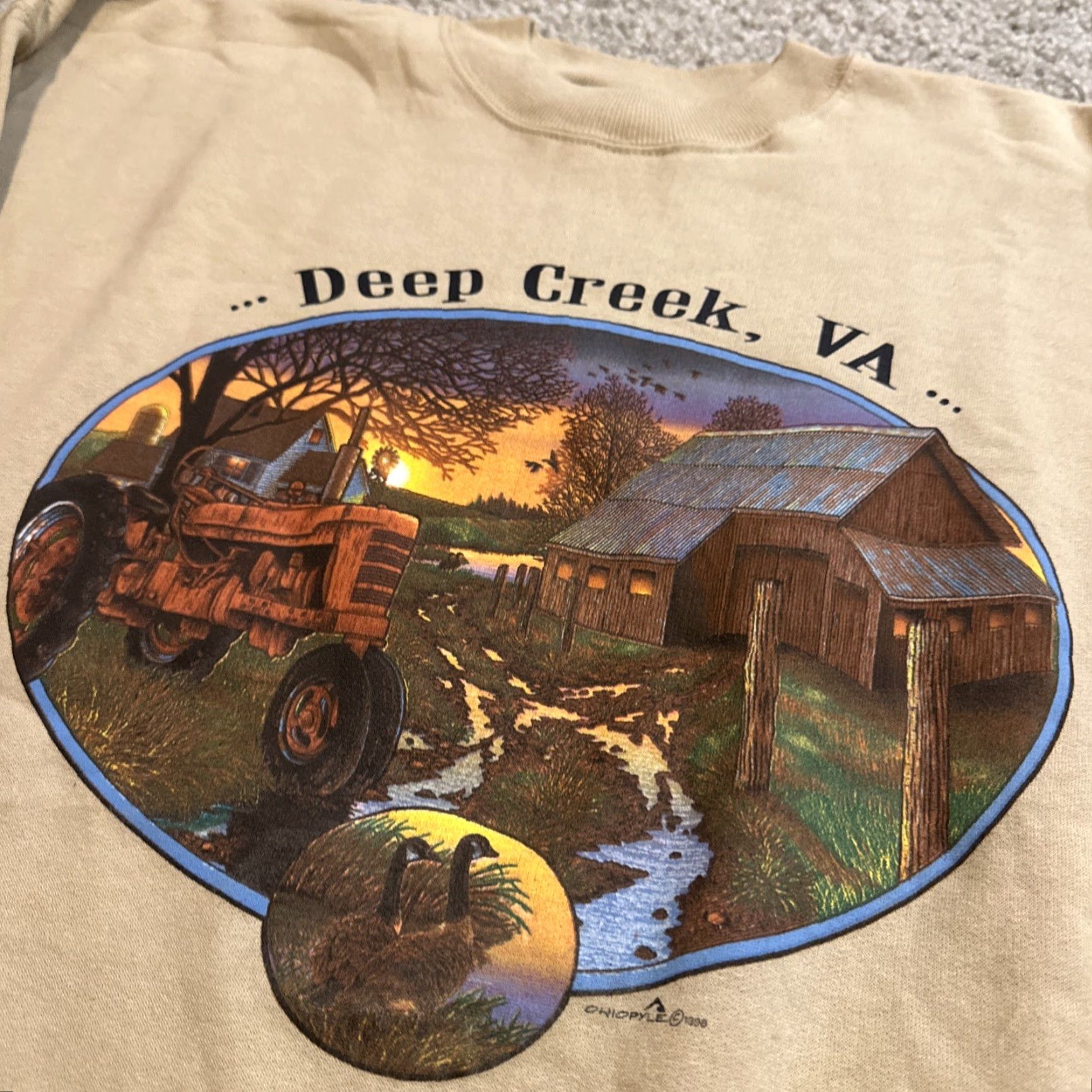 Vintage VINTAGE 90s Deep Creek Virginia Beige Crewneck Sweatshirt XL Men Pullover Nature Beige 1998 Size US XL / EU 56 / 4 - 4 Thumbnail