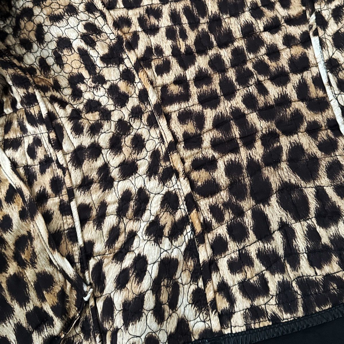 Roberto Cavalli Roberto Cavalli runway leather jacket Size XS / US 0-2 / IT 36-38 - 5 Thumbnail