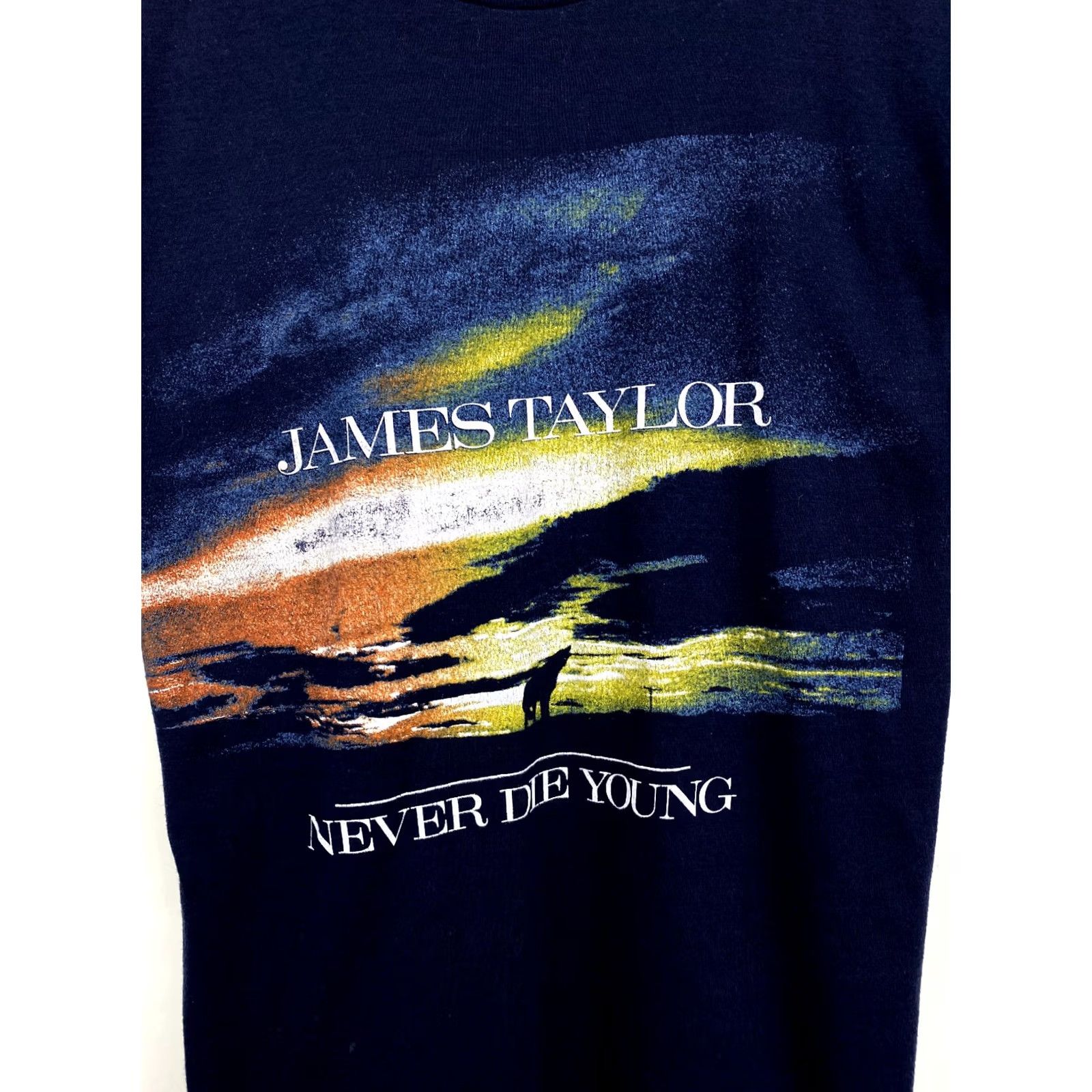 Gildan Vintage James Taylor Never Die Young T-shirt Rare Retro blue M Mens T-Shirt Size US M / EU 48-50 / 2 - 3 Thumbnail