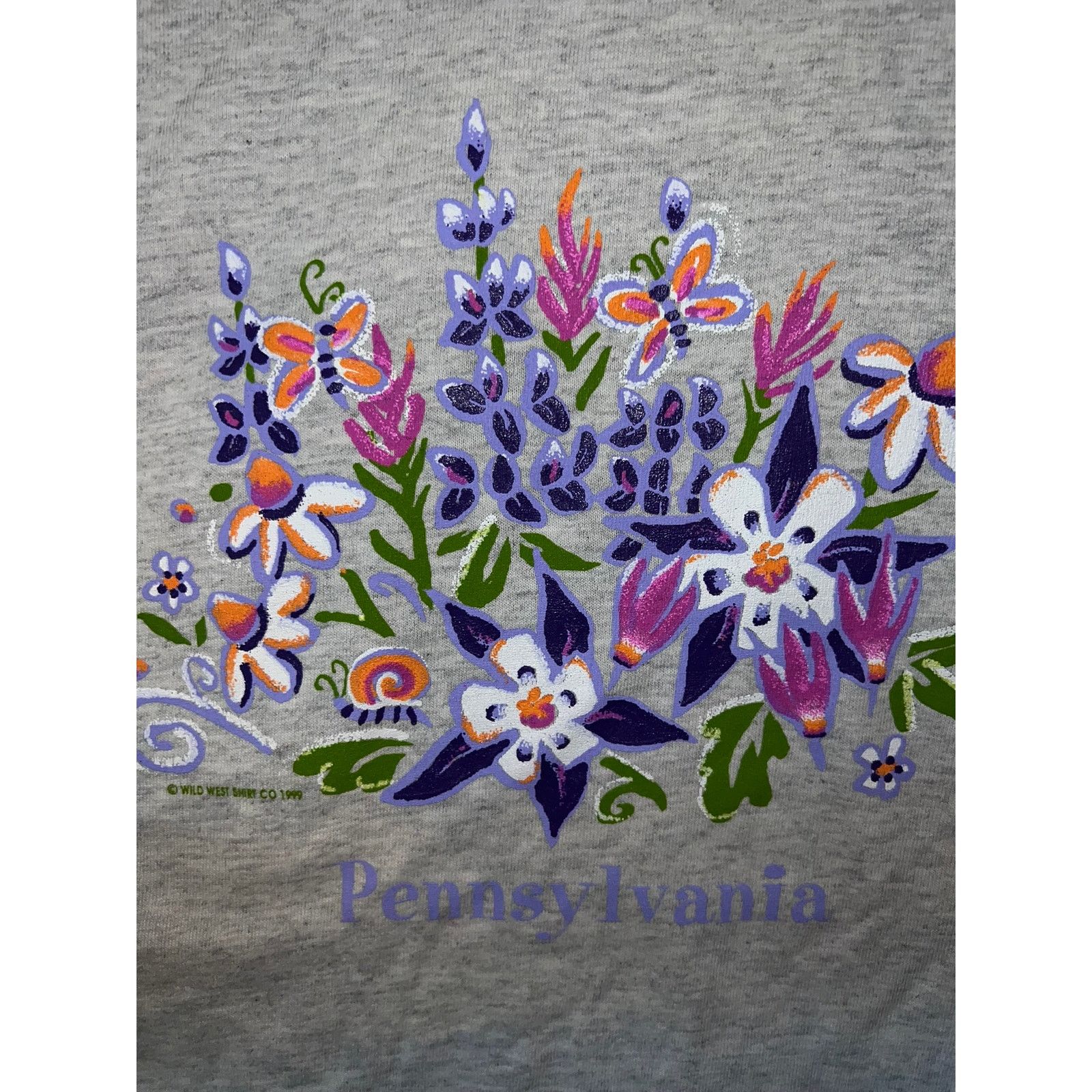 Vintage Vintage Pennsylvania Flower Shirt Gray Tee VTG 1999 XL Size US XL / EU 56 / 4 - 3 Thumbnail